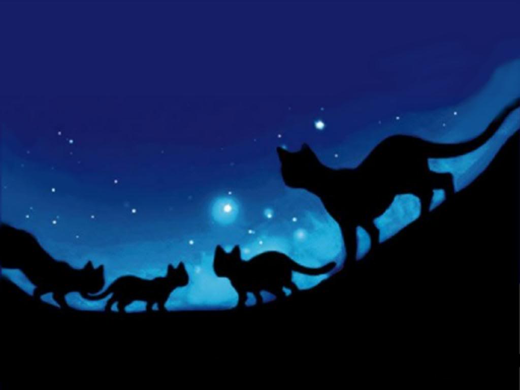 Warrior Cats Wallpaper HD Custom New Tab for Google Chrome  Extension  Download