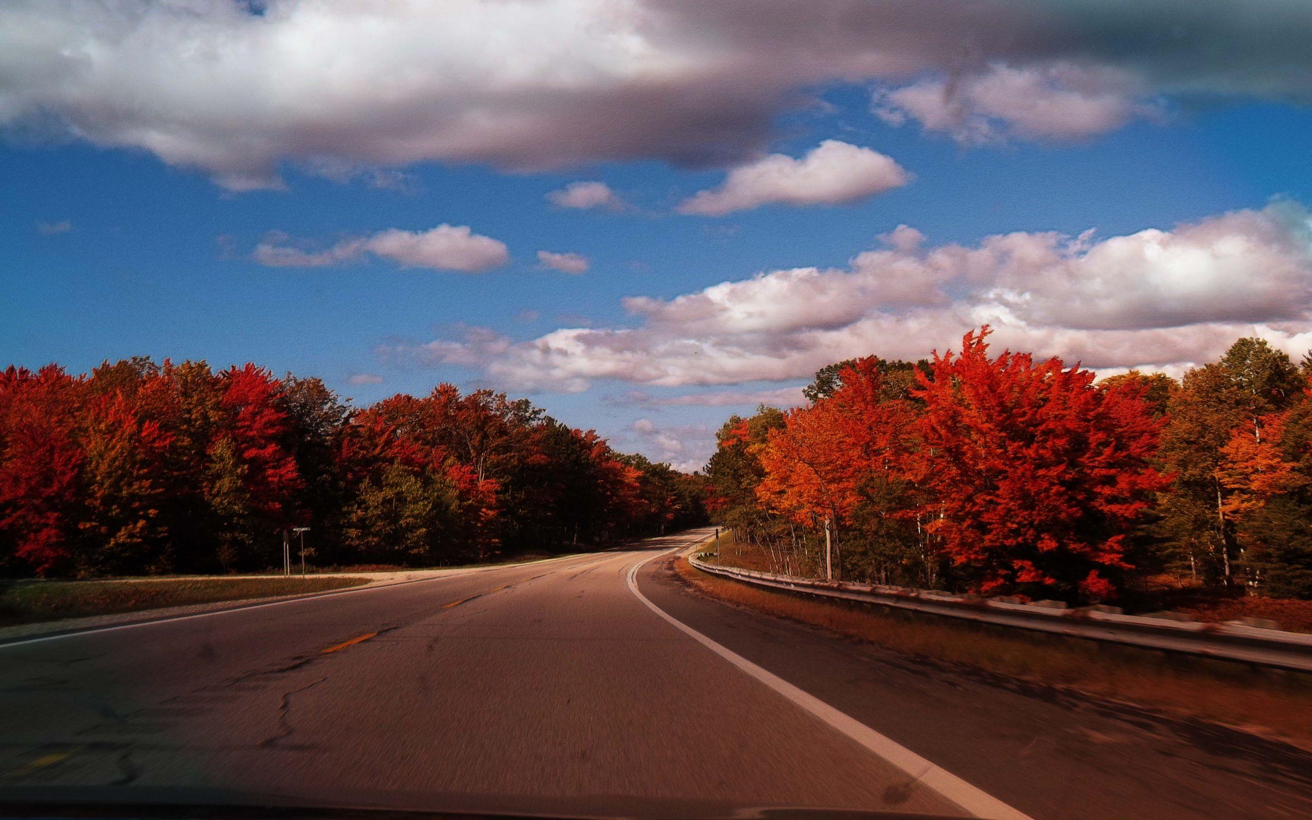 2560x1600 Fall Road Trip