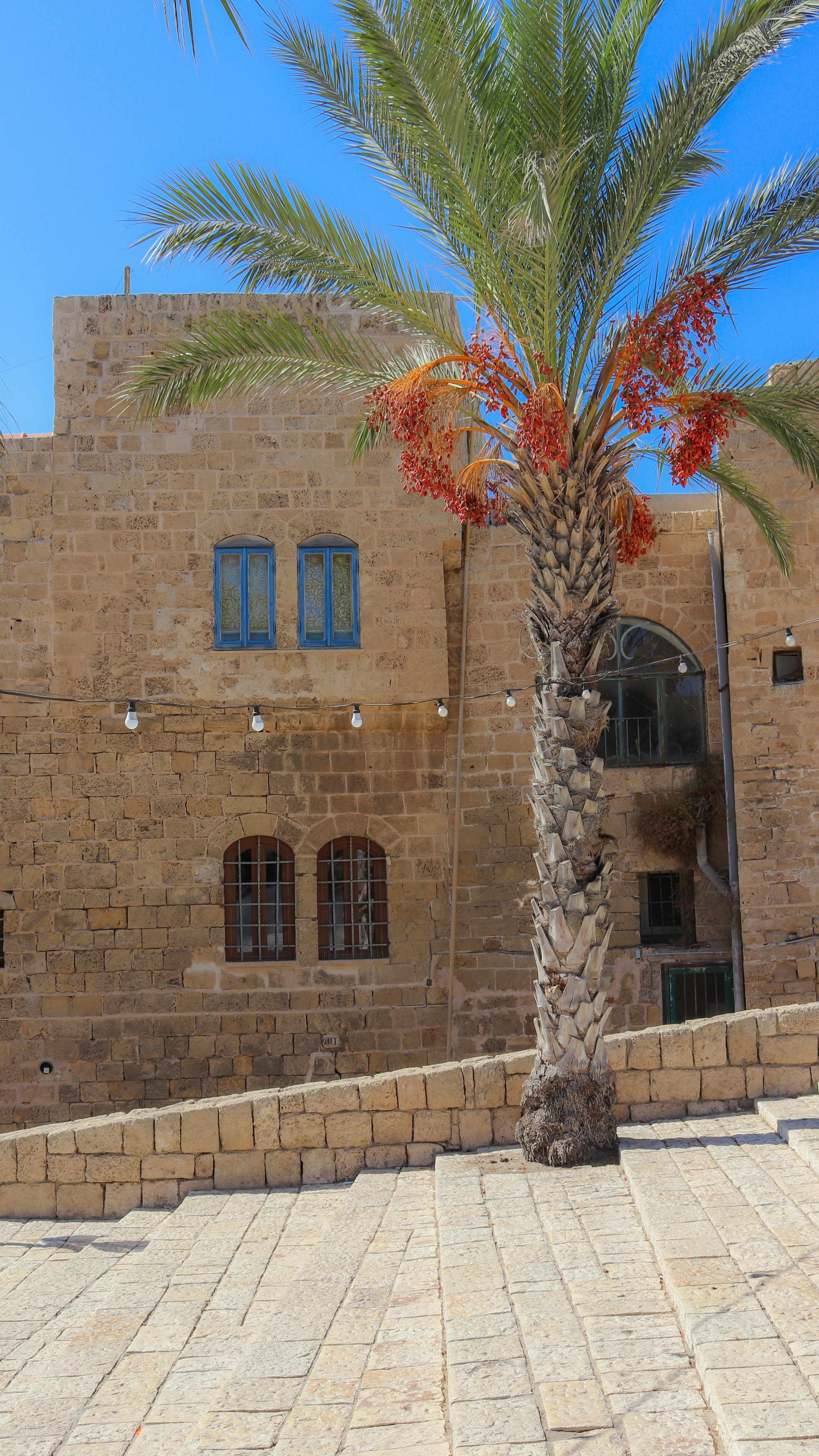 3000x5333 Jaffa Picture. Download Free Image