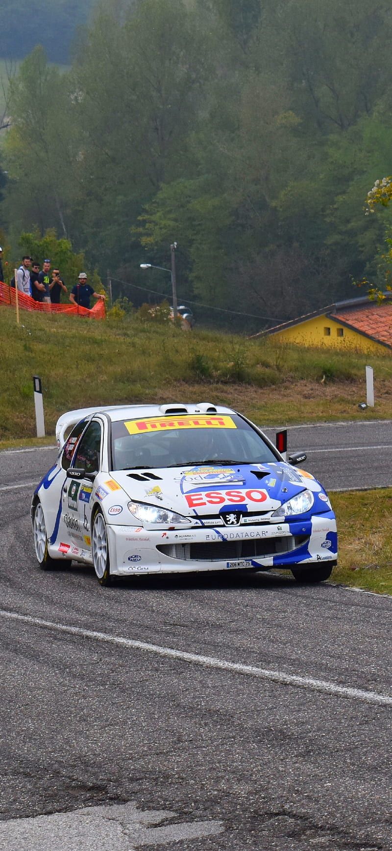 800x1733 wrc, peugeot, rally, wrc, HD phone wallpaper