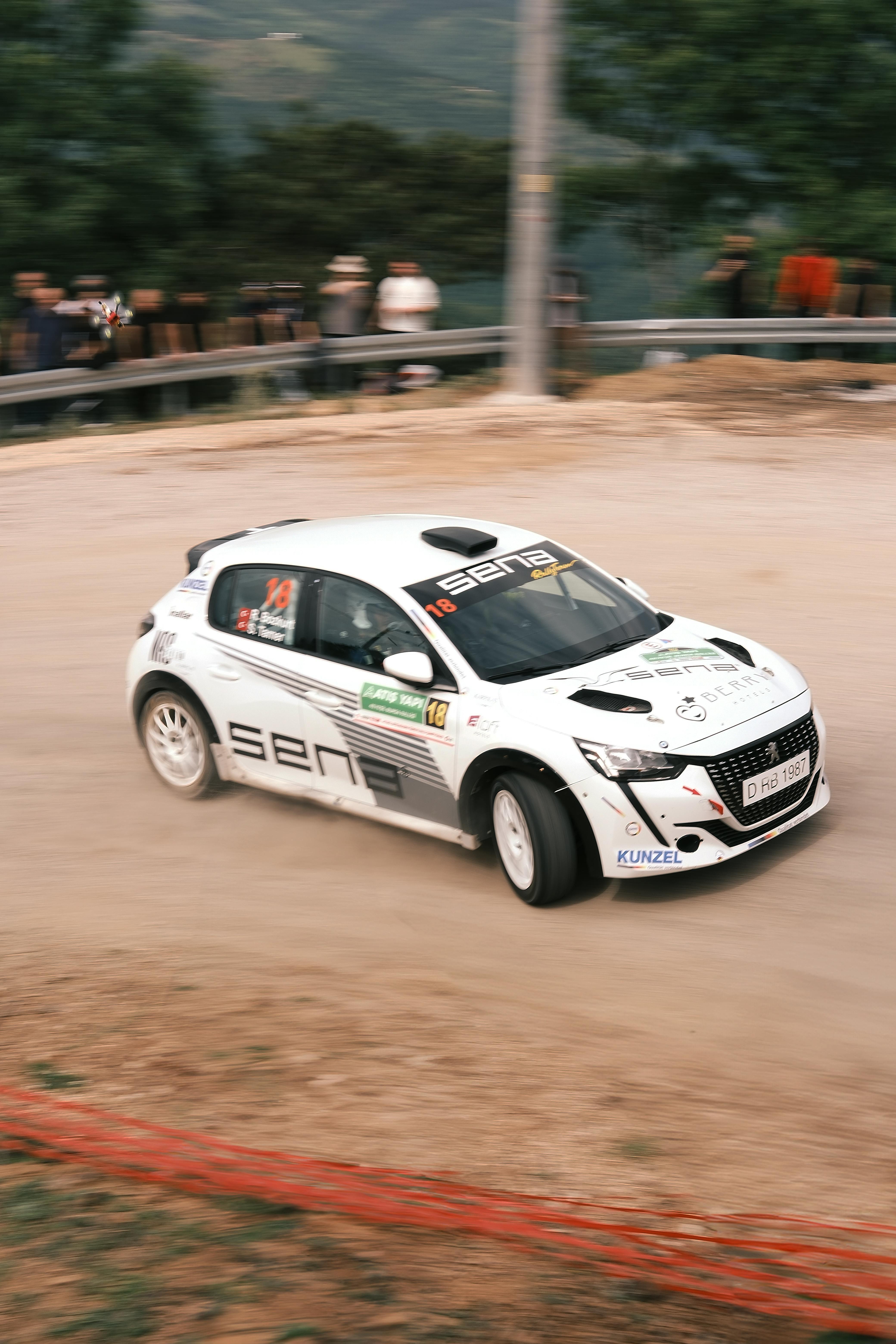 4160x6240 Peugeot 208 Rally4 During a Race · Free