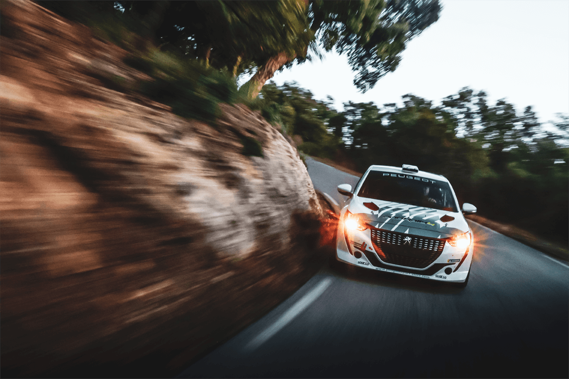 1133x755 Peugeot 208 Rally4 Sport Store