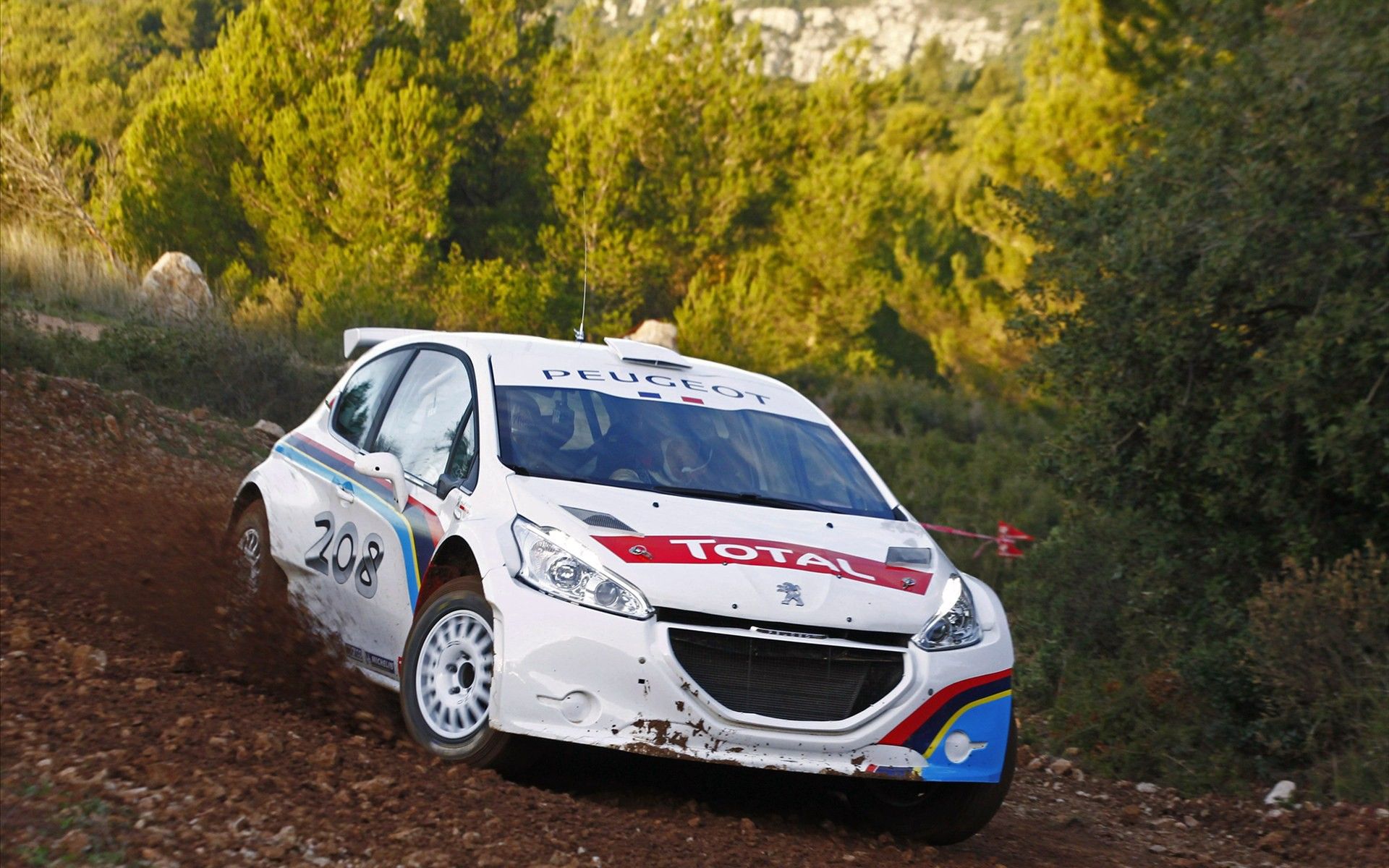 1920x1200 Download Vehicle Peugeot 208 R5 HD Wallpaper
