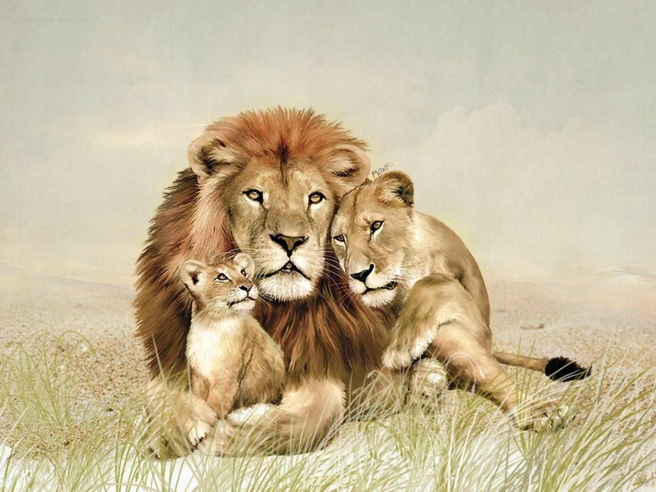 representation of family in lion