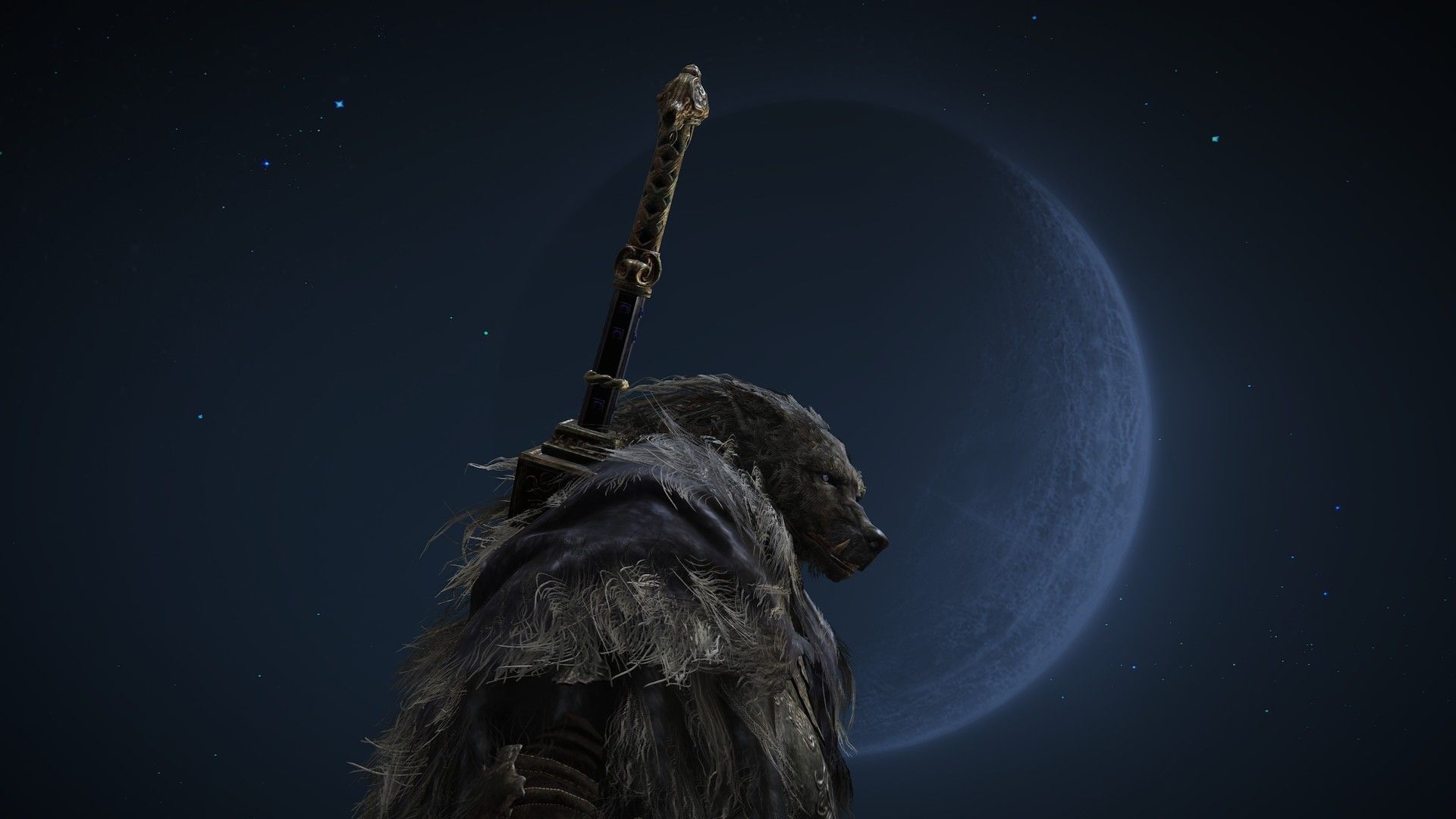 1920x1080 Blaidd Wallpaper