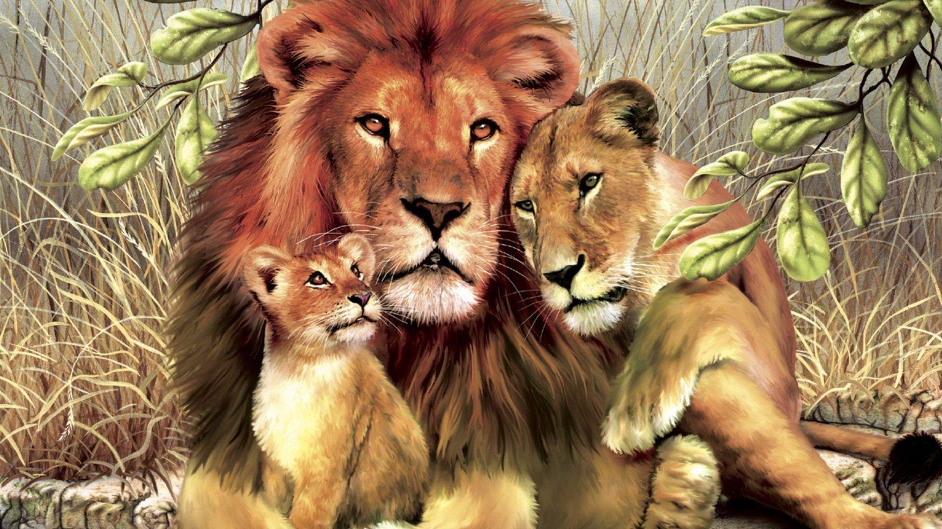 Lion Family Wallpapers - Top Free Lion Family Backgrounds - WallpaperAccess