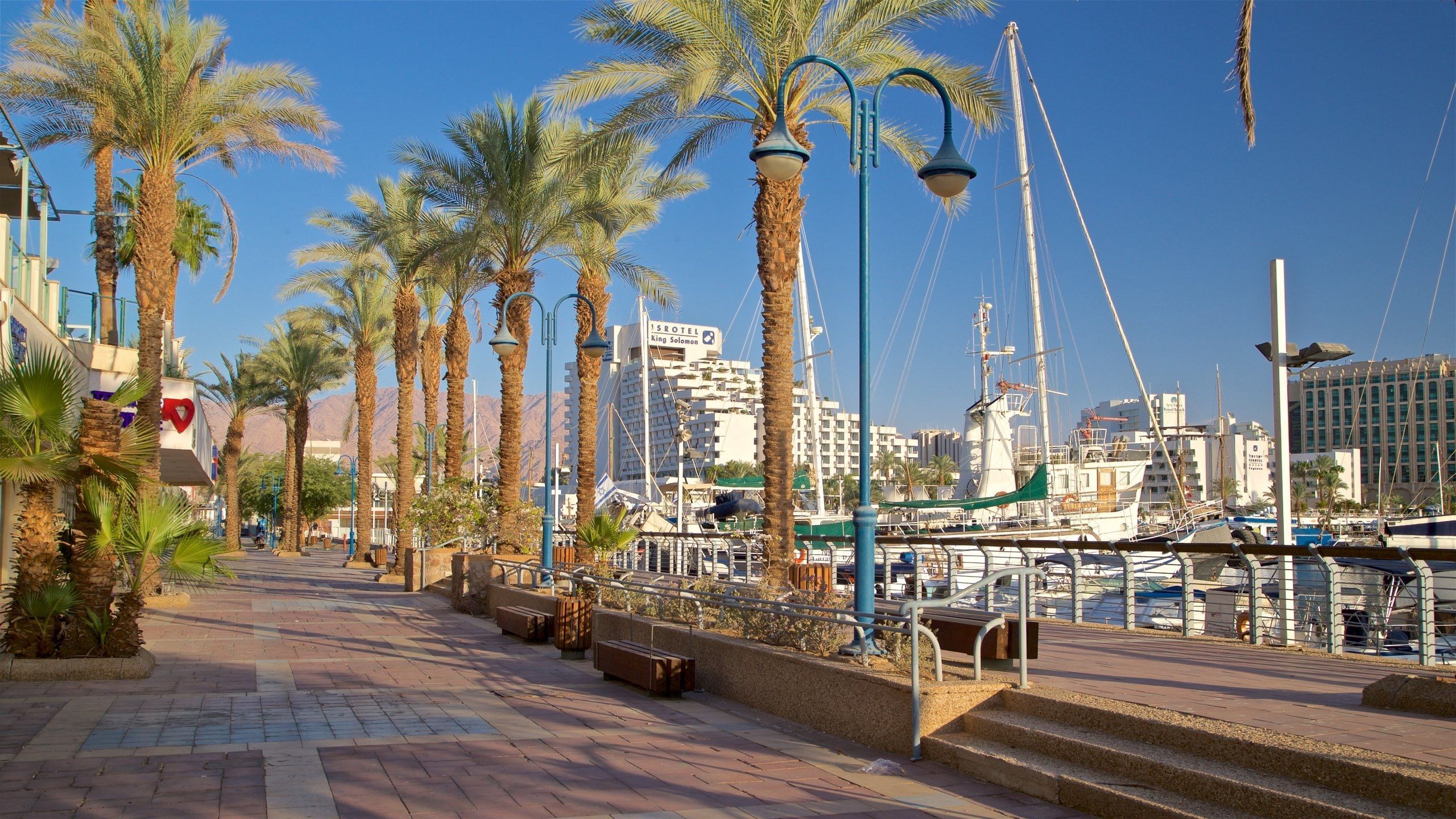 2560x1440 Eilat Marina Tours