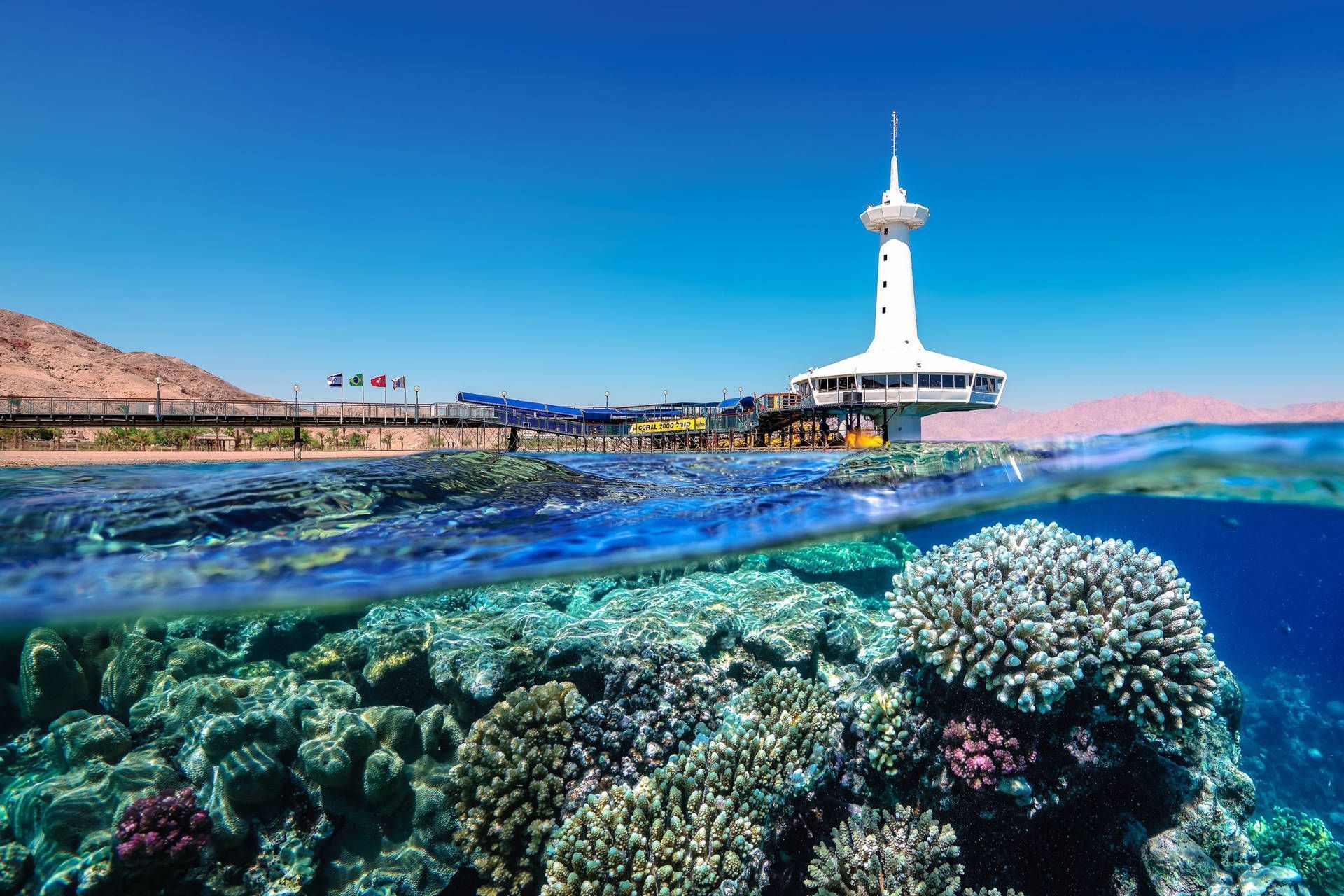 1920x1280 Download Israel Underwater Observatory Wallpaper