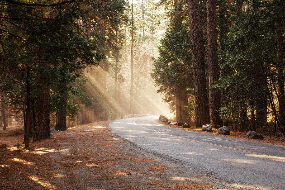 1200x800 Road Trip Photo Diary