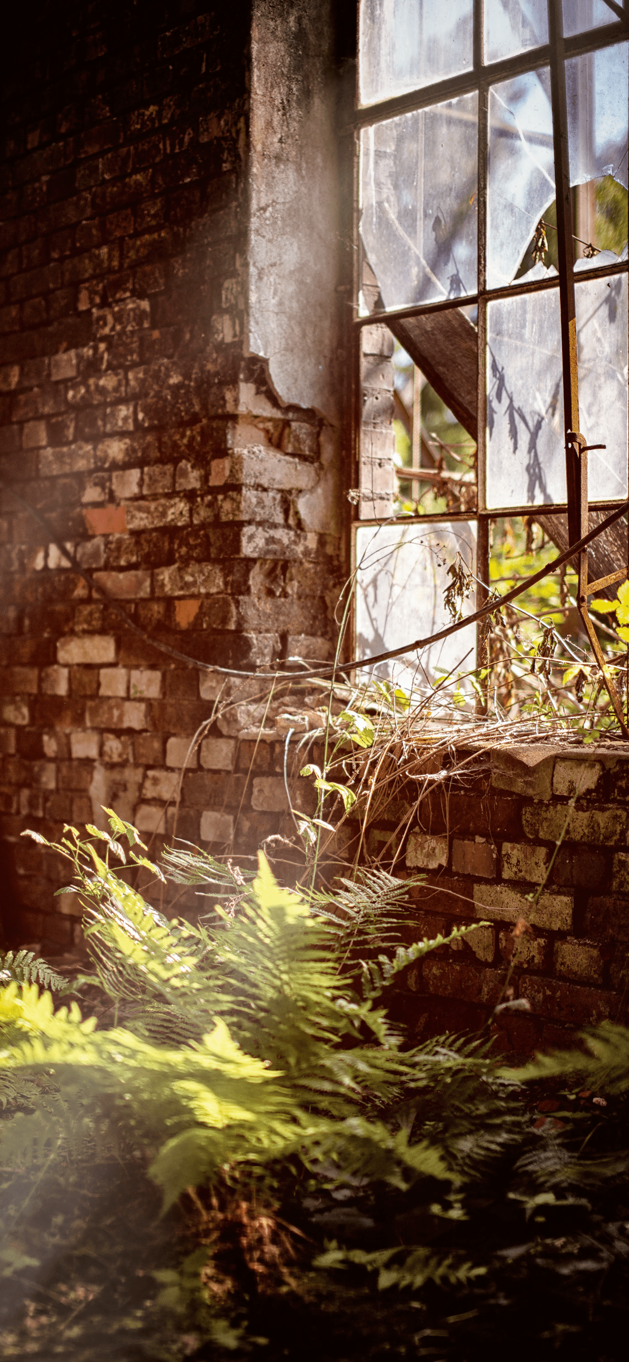 1242x2688 Abandoned Wallpaper for iPhone Pro Max, X, 6