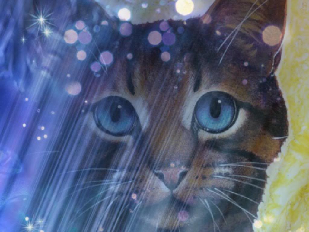 1024x768 My Top Collection: Warriors cats wallpaper