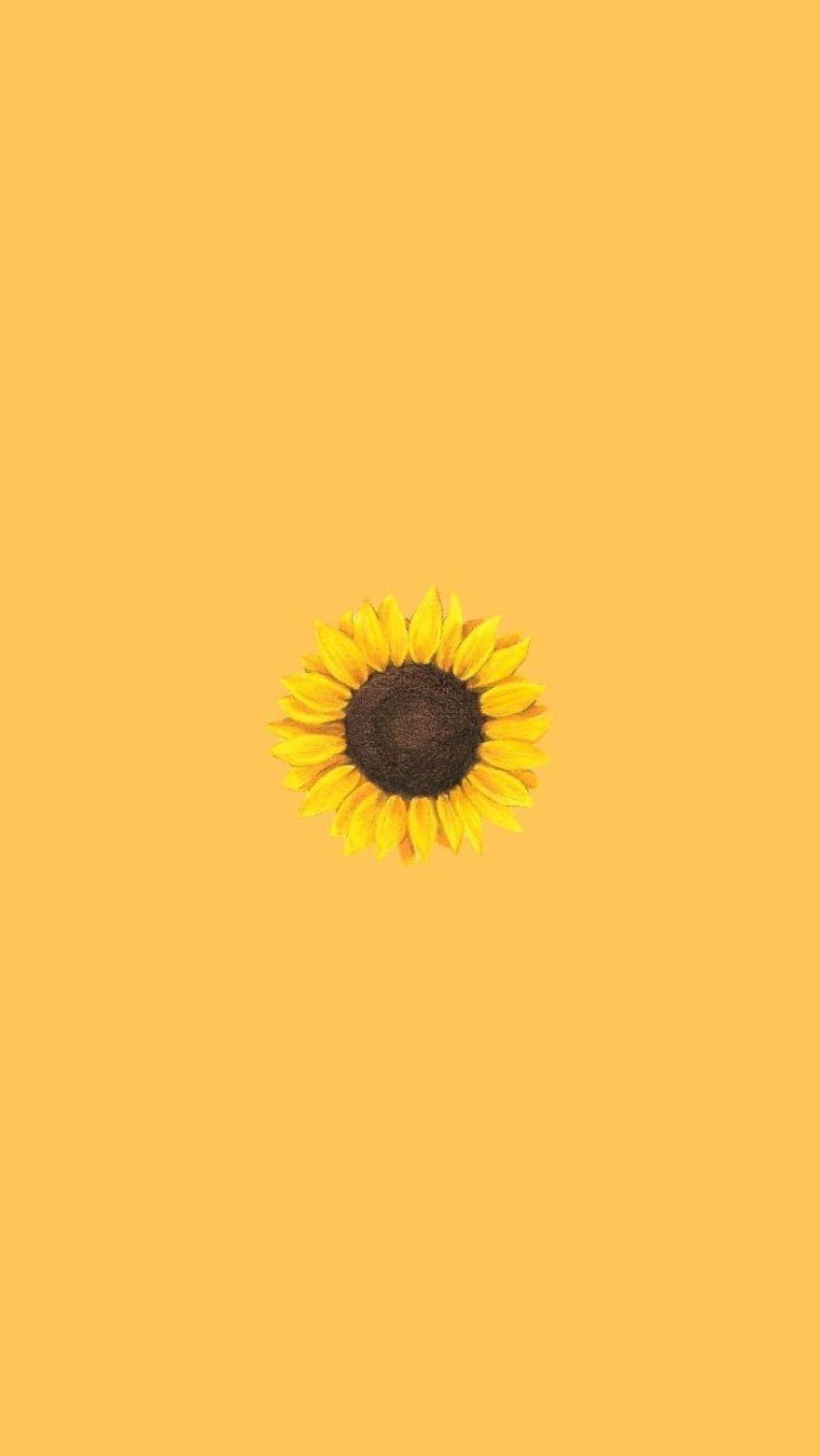 1080x1917 Yellow Aesthetic Sunflowers HD Wallpaper Desktop