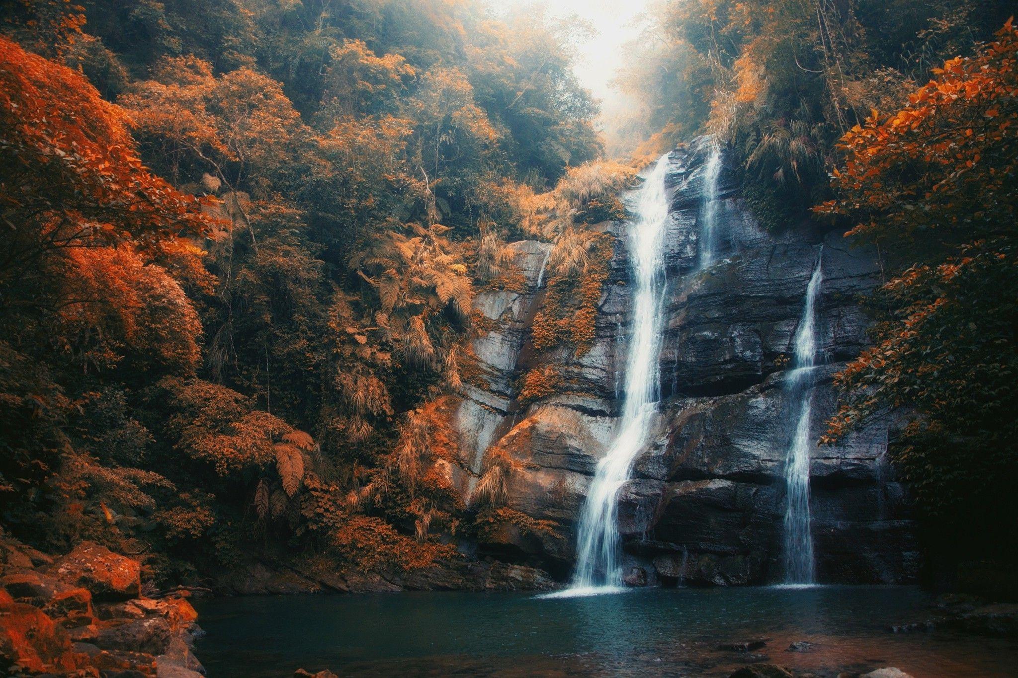 2048x1365 Fall Forest Wallpaper