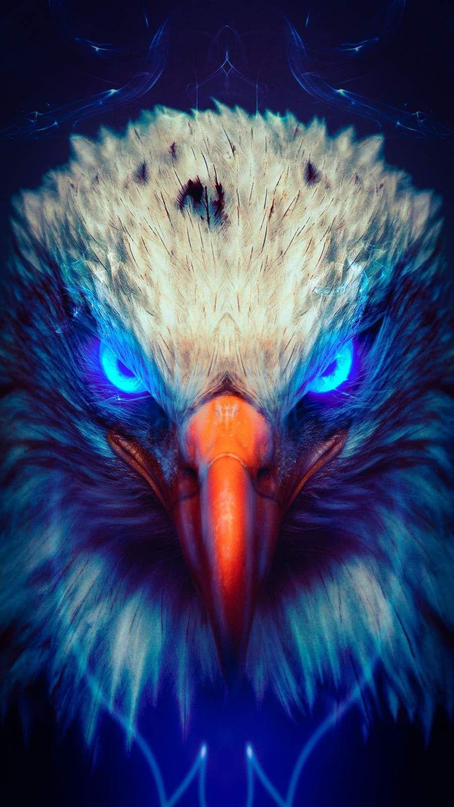900x1599 Eagle iPhone Wallpaper. Eagle wallpaper, Animal wallpaper, Eagle