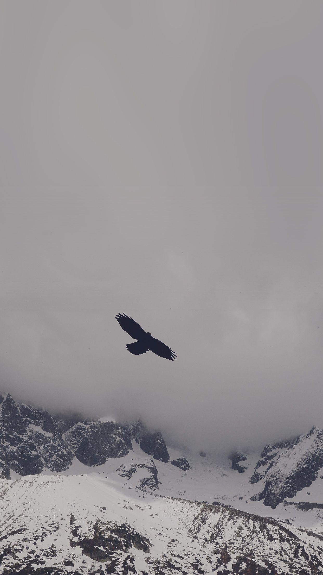 1242x2208 iPhone 6 Wallpaper revitt eagle blue mountain winter snow