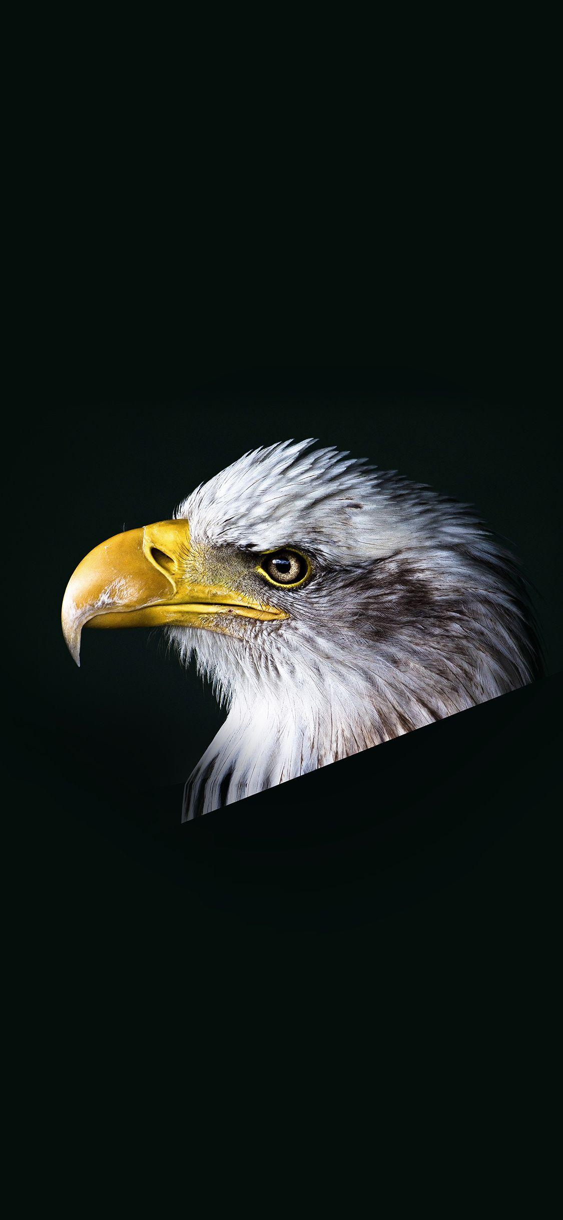 1125x2436 iPhoneXpapers dark animal bird face