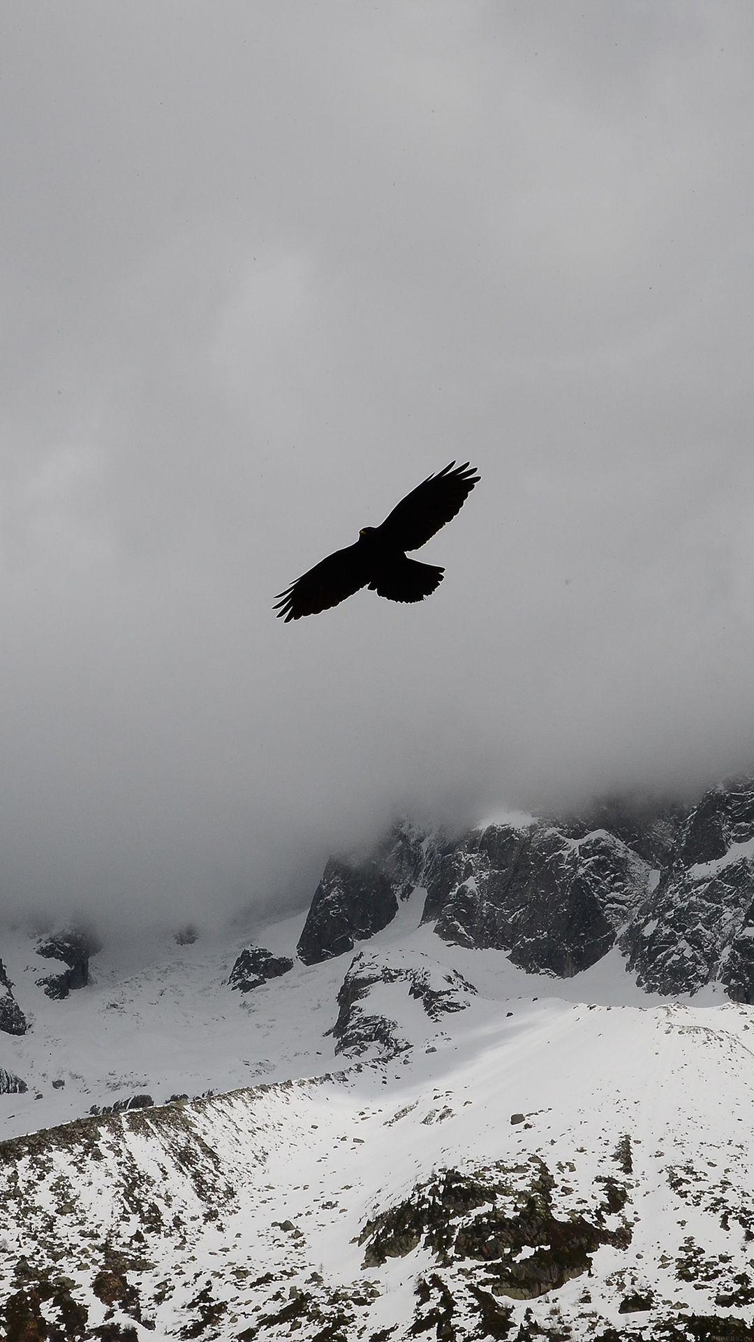 1080x1920 Eagle Flying Over Winter Snow Mountains iPhone 8 Wallpaper Free