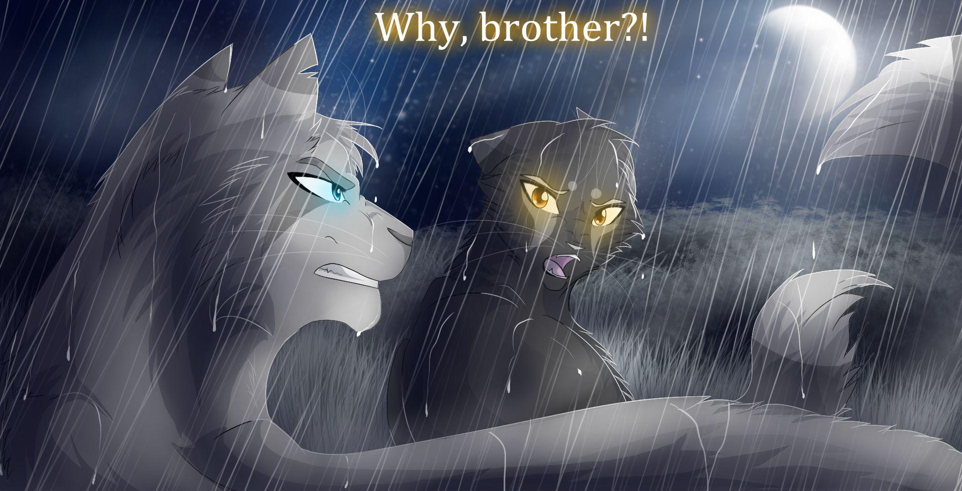 Warrior Cats Wallpapers - Top Những Hình Ảnh Đẹp