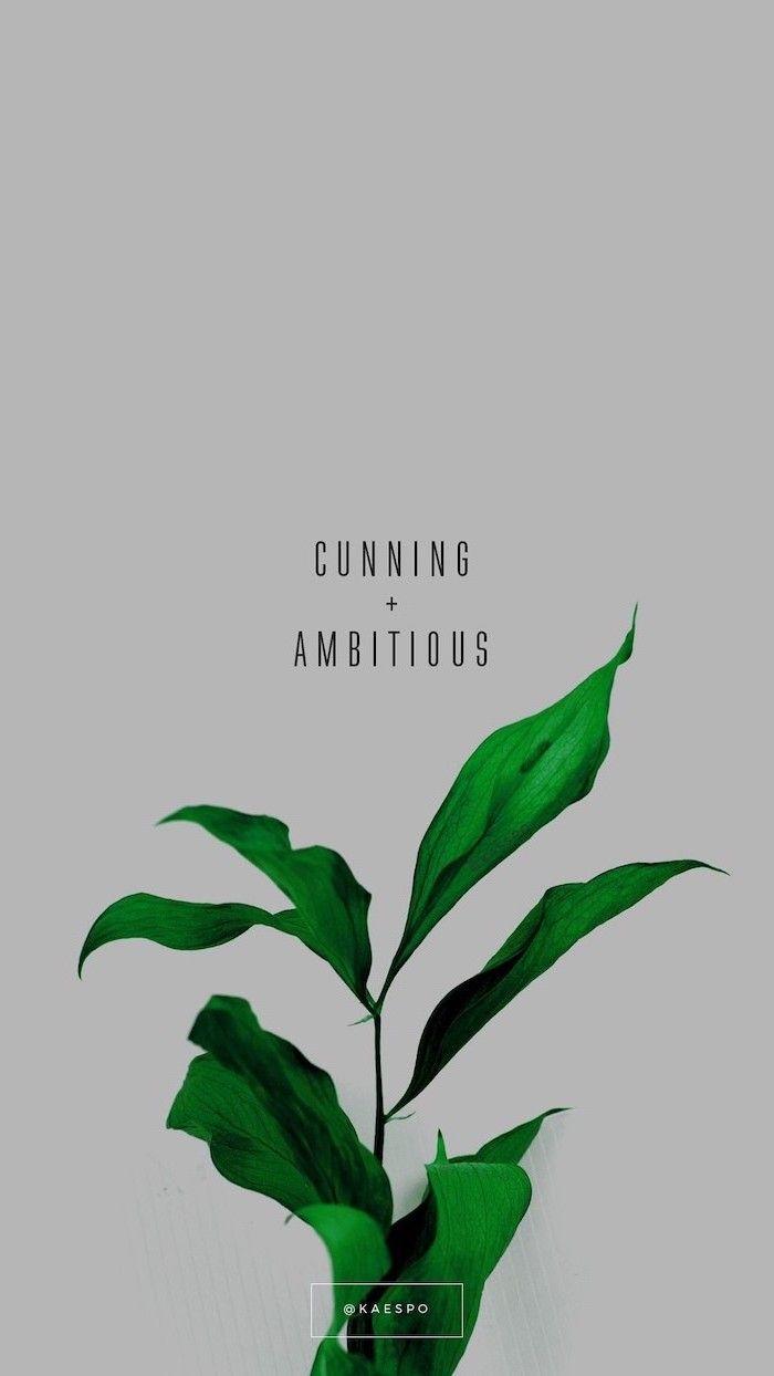 700x1244 for a gorgeous aesthetic wallpaper for phone and laptop