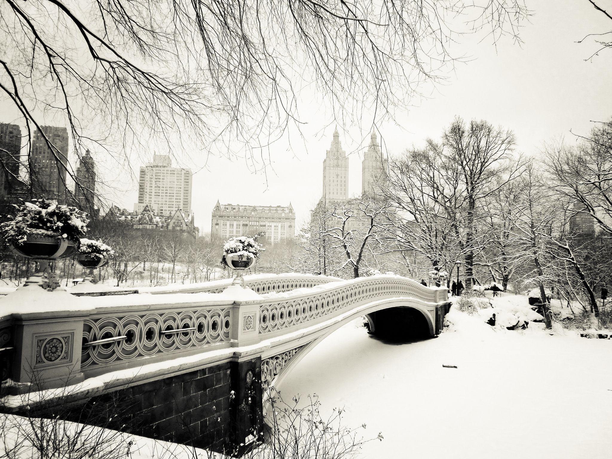 2048x1536 Central Park HD Wallpaper and Background Image
