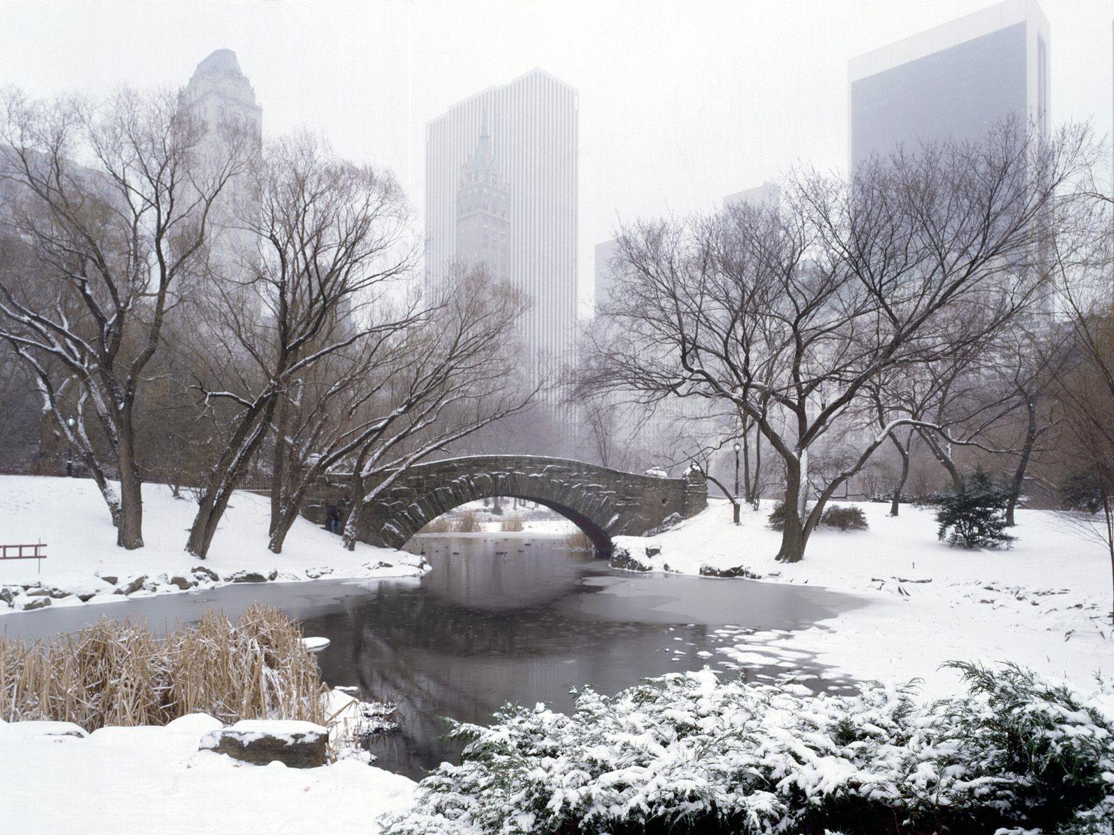 Central Park Snow Wallpapers Top Free Central Park Snow Backgrounds