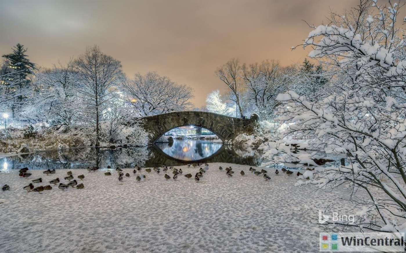 1399x874 Microsoft Has Launched A New App “bing In Winter” For