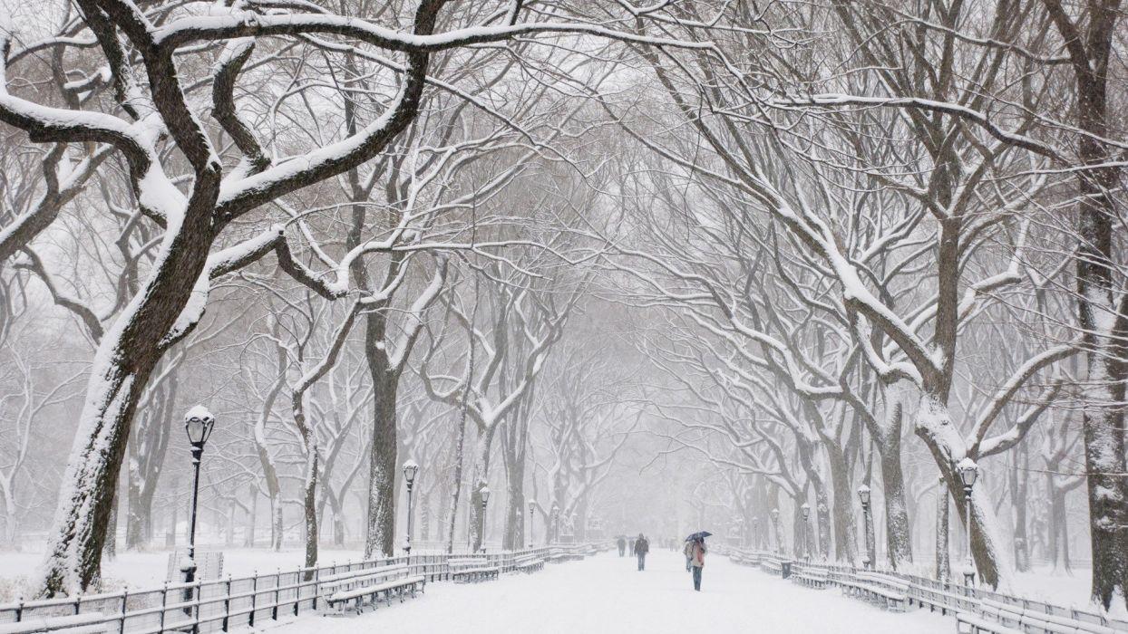 1244x700 Snow Park Wallpaper