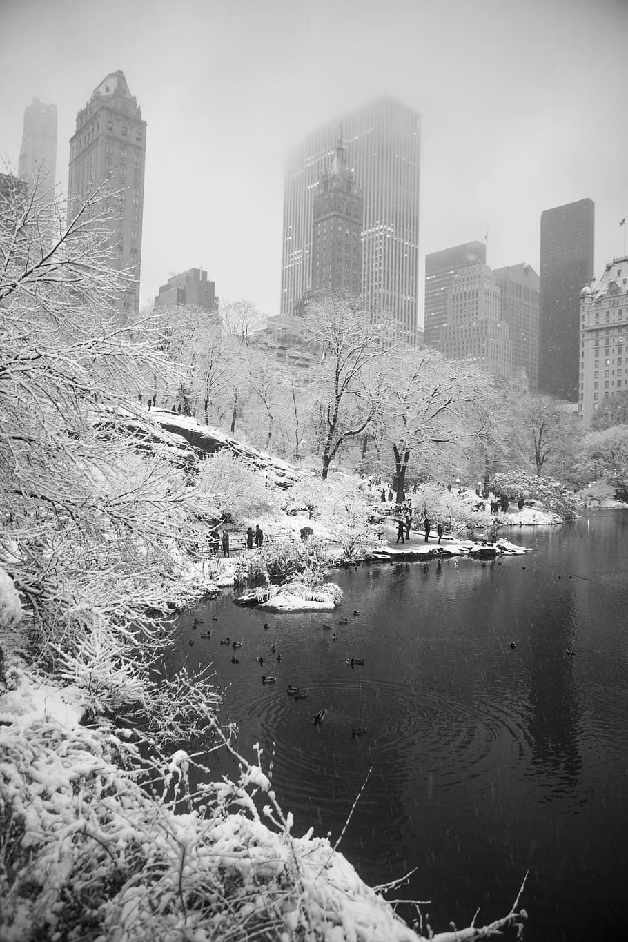 910x1365 HD wallpaper: new york, new york city, ice, snow, winter, central park, building exterior