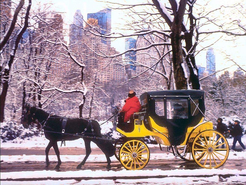 1024x768 Carriage Ride In Central Park