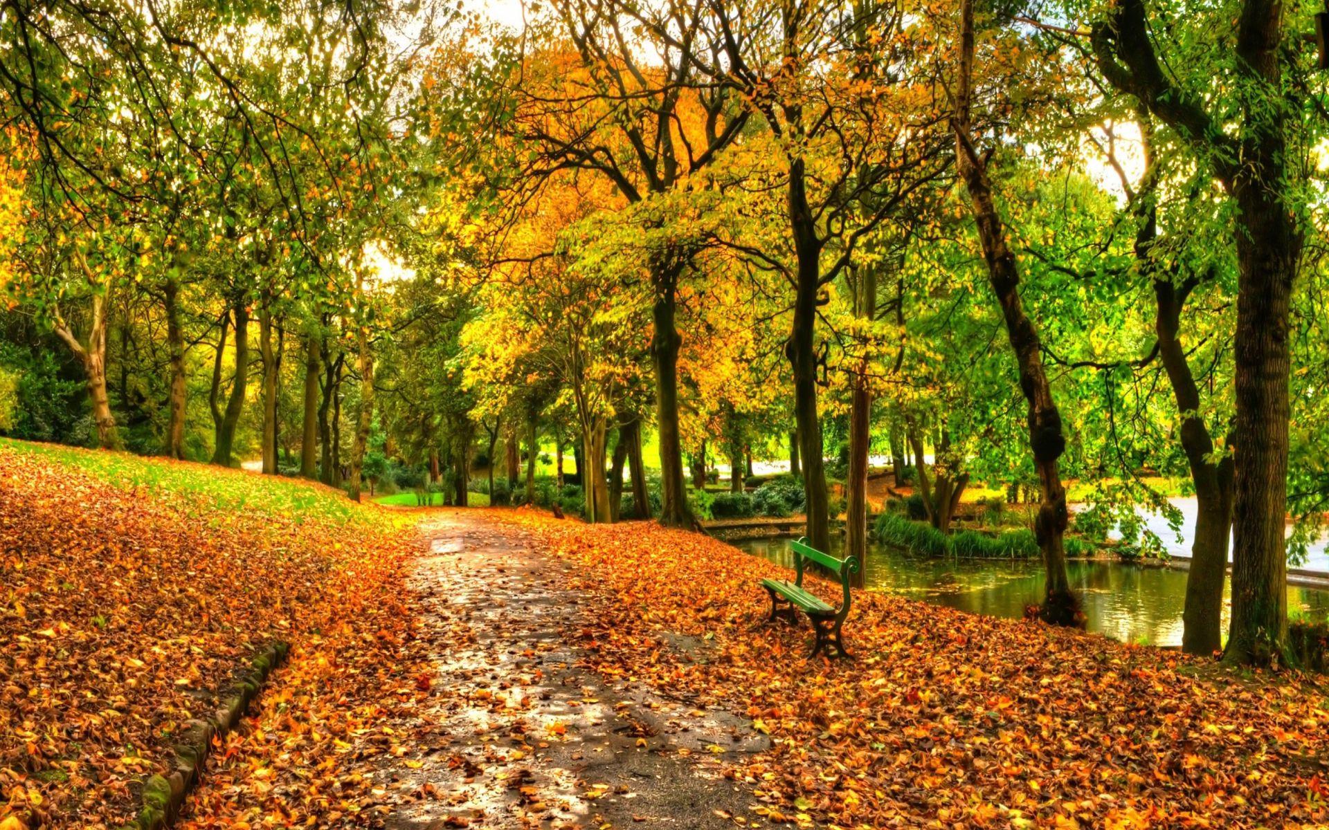 1920x1200 Back To 84 Central Park Wallpaper HD Background Desktop
