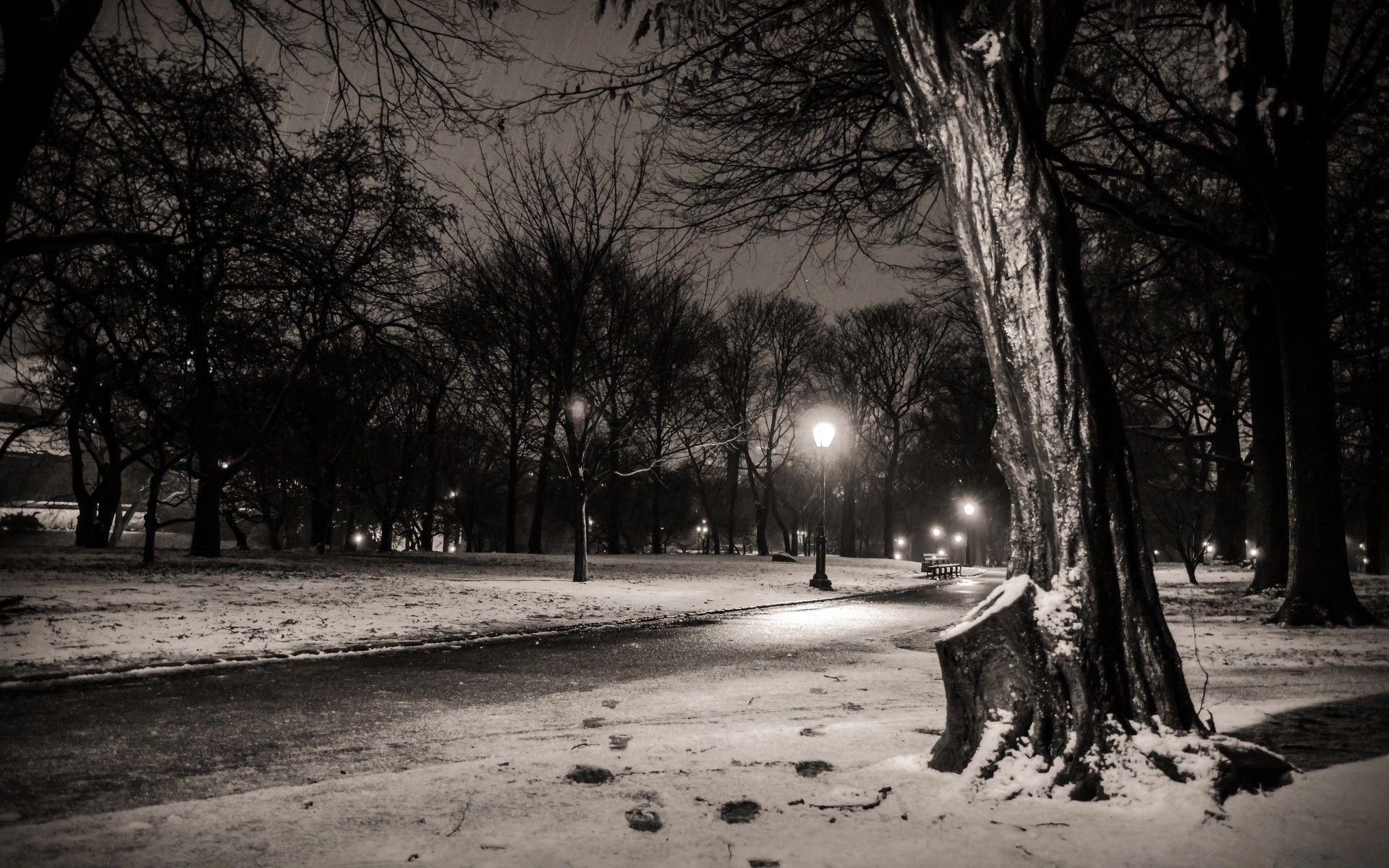 1920x1200 New York City, Central Park Footsteps