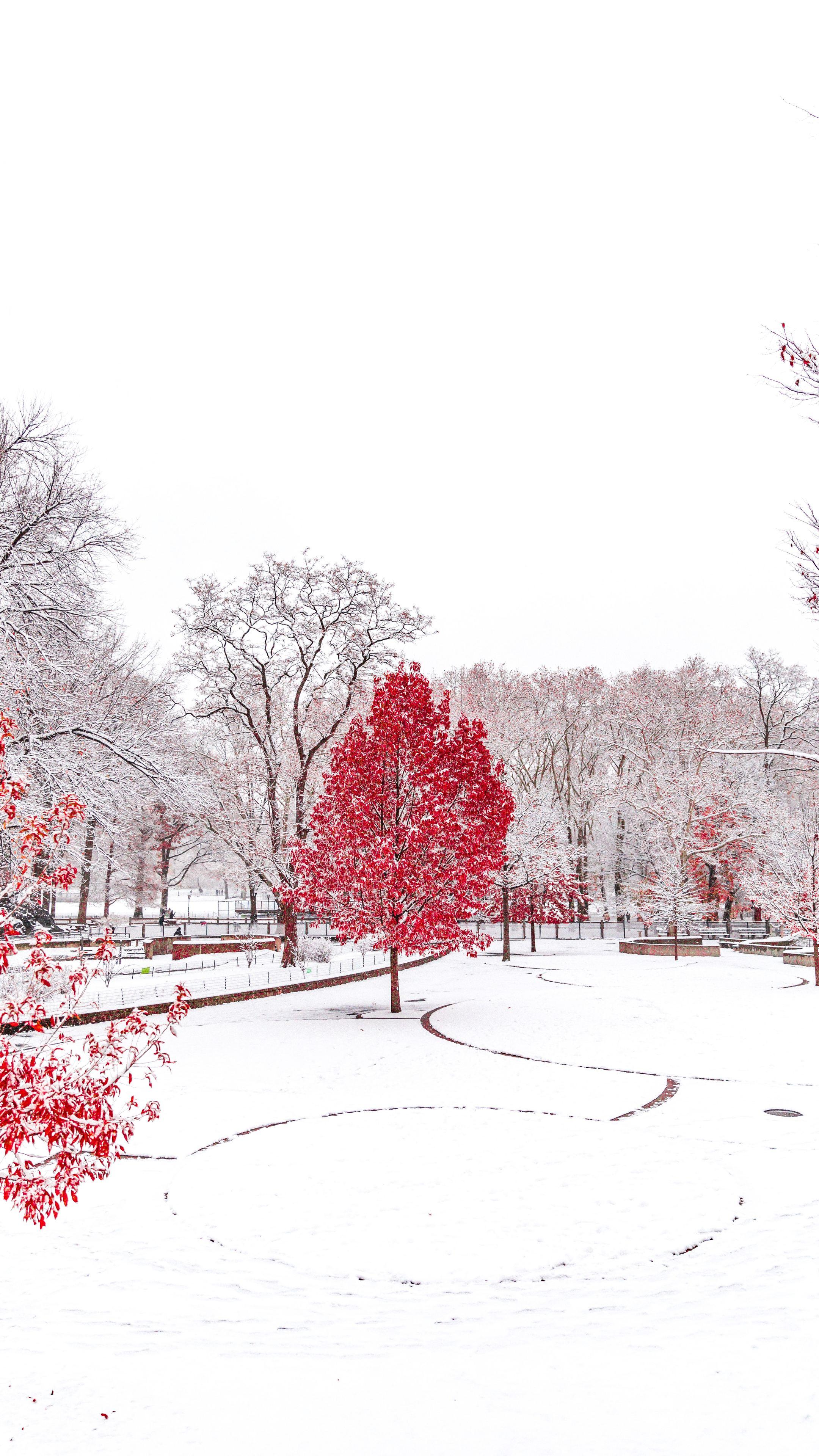 2160x3840 Red Winter Central Park 5k Sony Xperia X, XZ, Z5 Premium