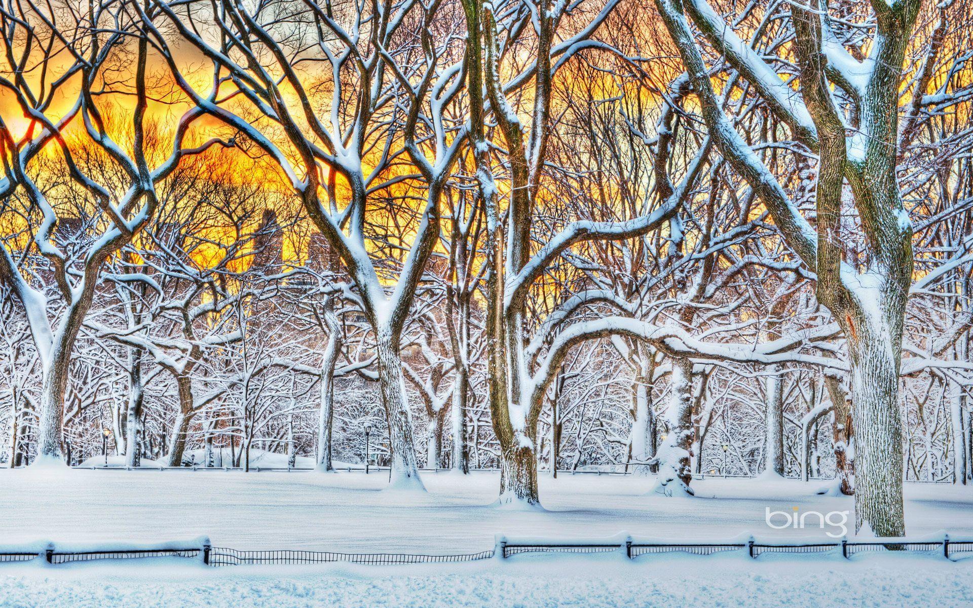 1920x1200 snowstorm 4K wallpaper for your desktop or mobile screen free