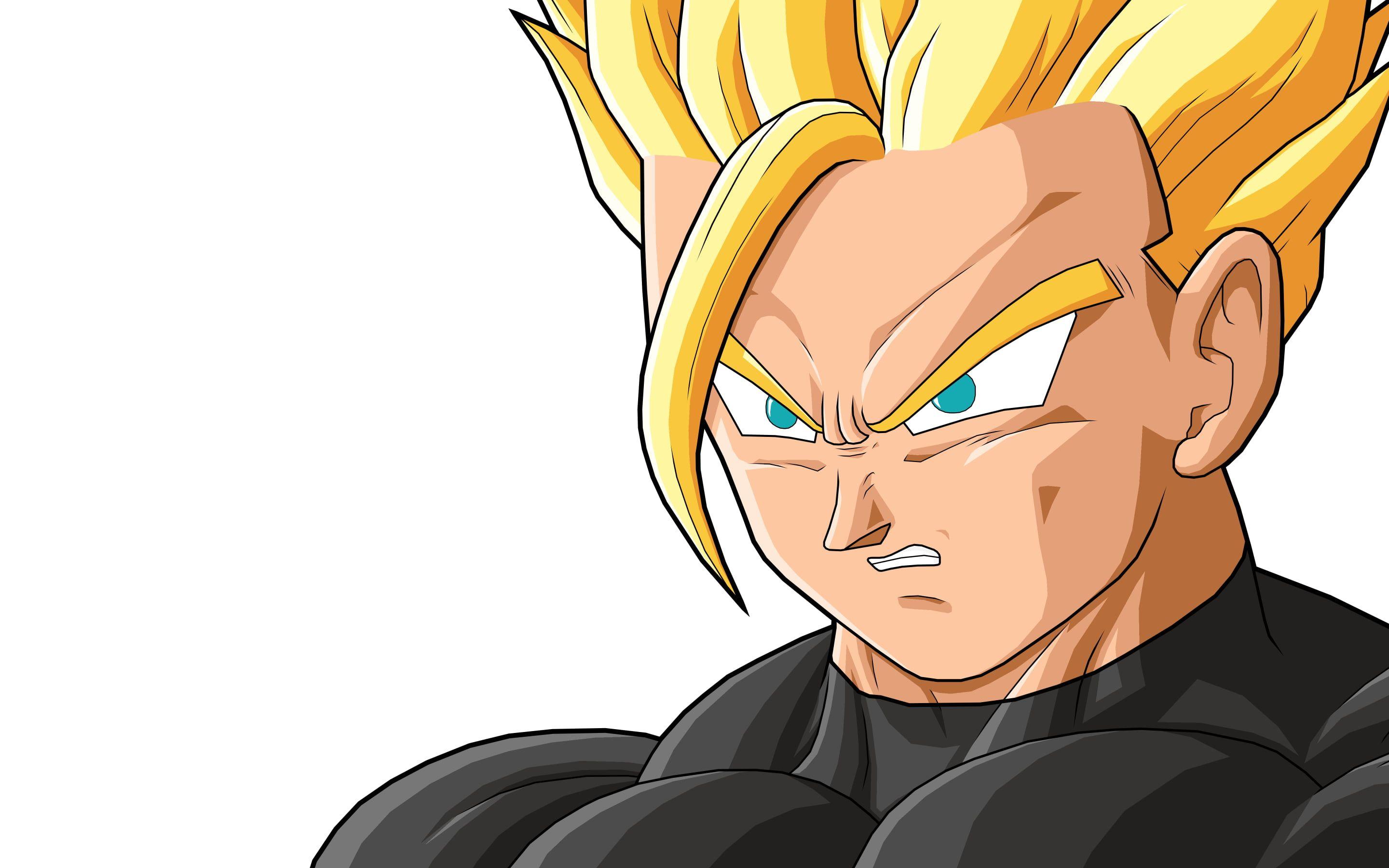 2880x1800 Super Saiyan Son Gokou on white background HD wallpaper