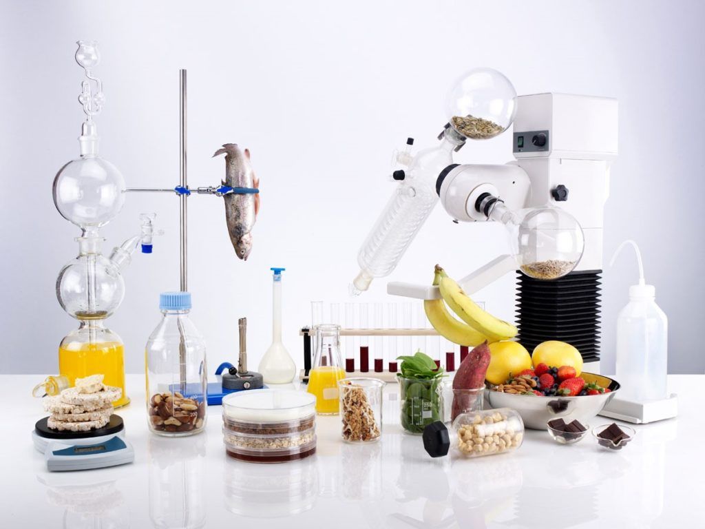 1024x768 Food Science Wallpaper