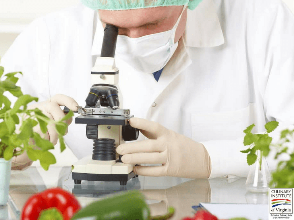 1024x768 Food Science Wallpaper