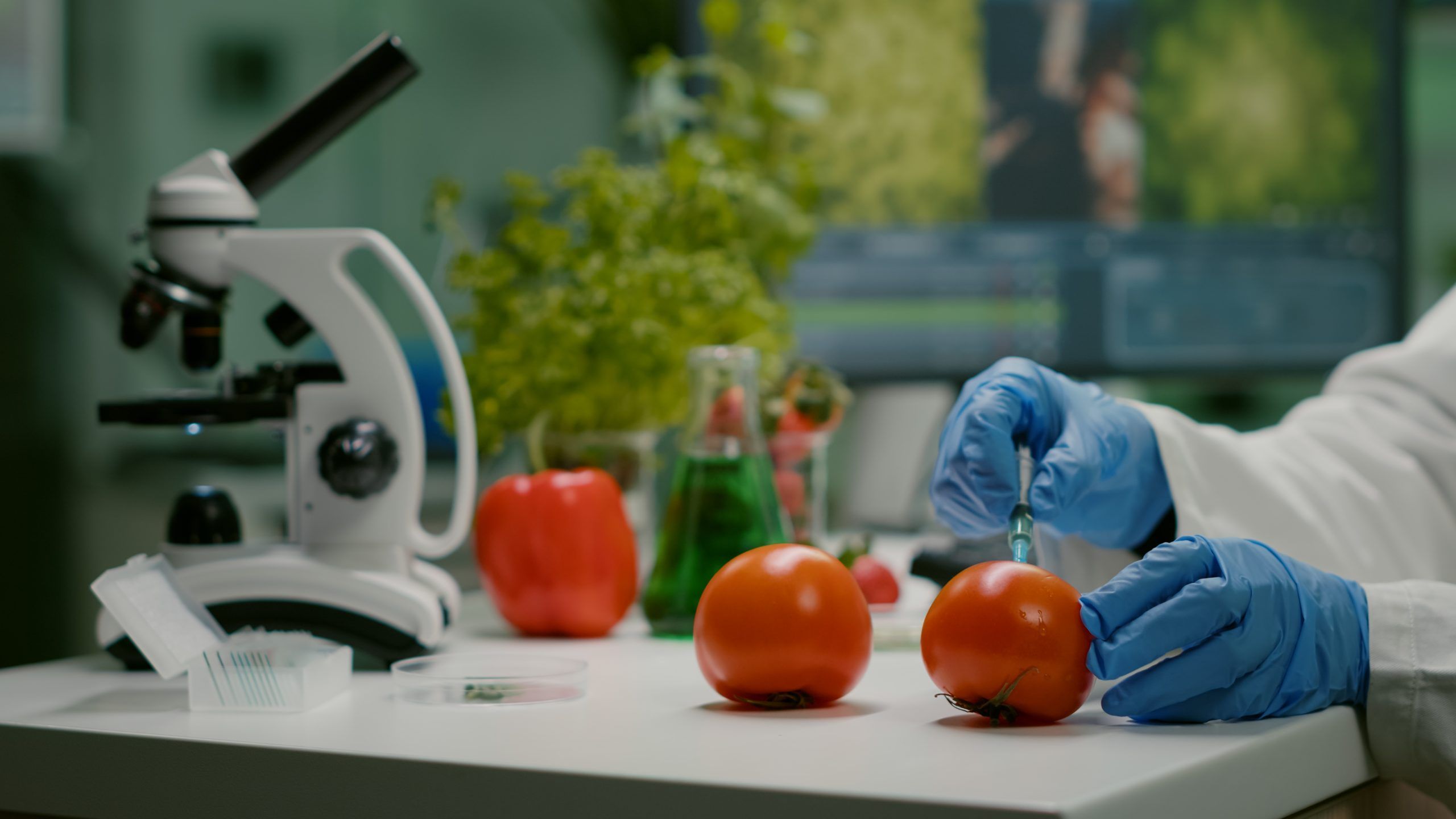 2560x1440 Why Pursue BSc (Hons) in Food Technology at Shoolini?