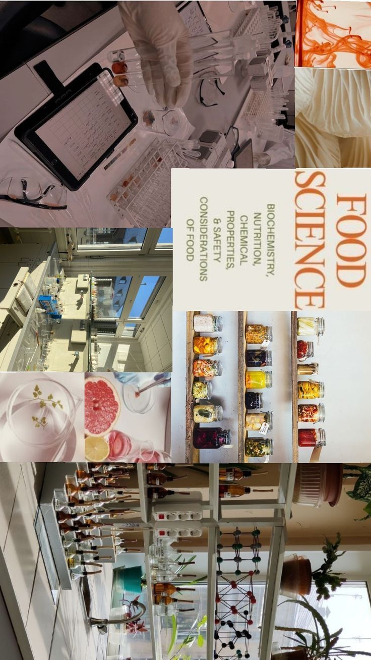 736x1308 food science and technology aesthetic wallpaper nel 2025. Scienza, Universo