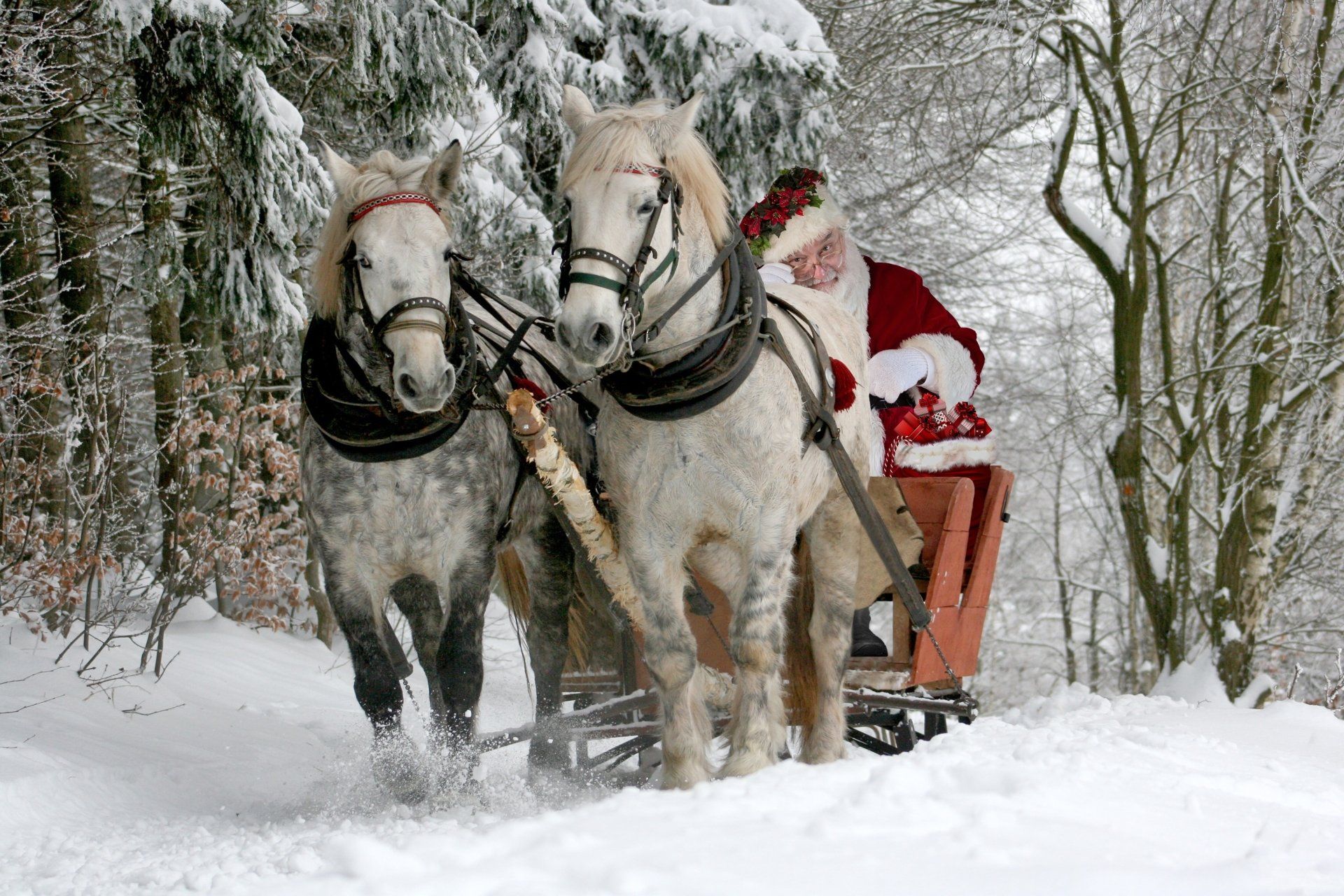 1920x1280 Santa's Christmas Sleigh Ride Ultra HD Wallpaper