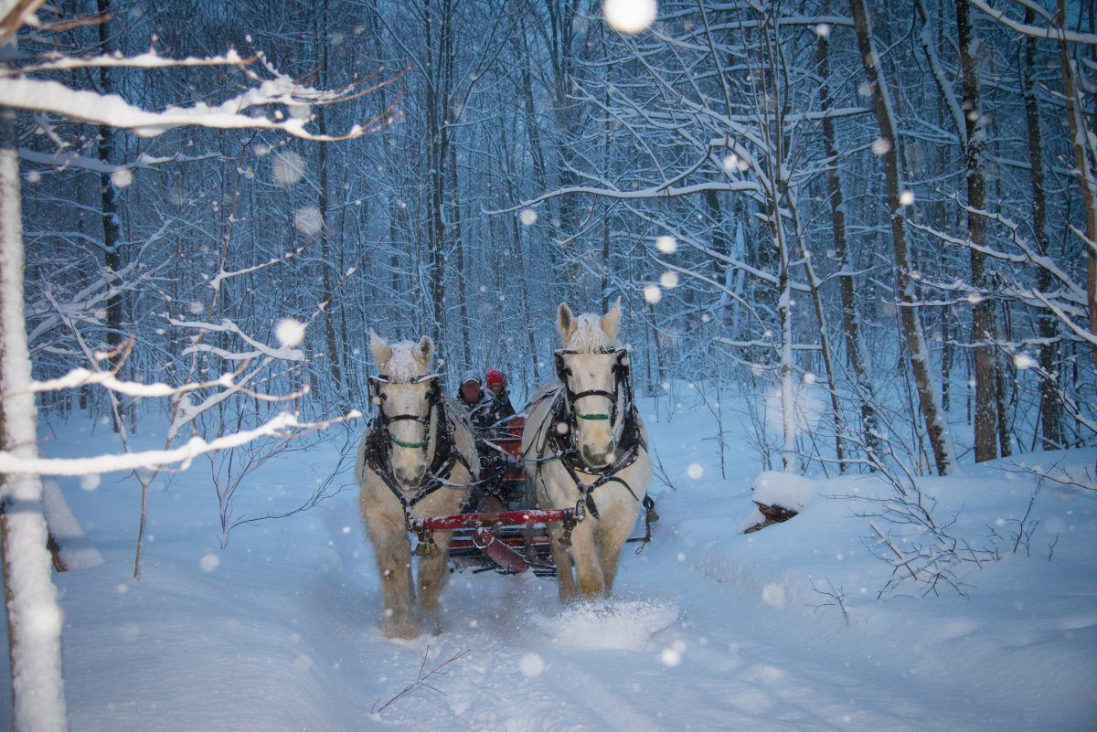 1200x801 Enjoy A Cottage Country Sleigh Ride At One Of These Ontario Farms