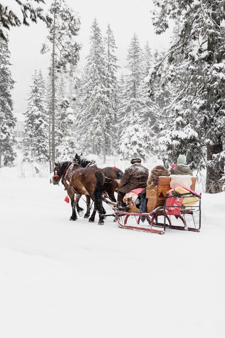 740x1110 Day sleigh ride Image