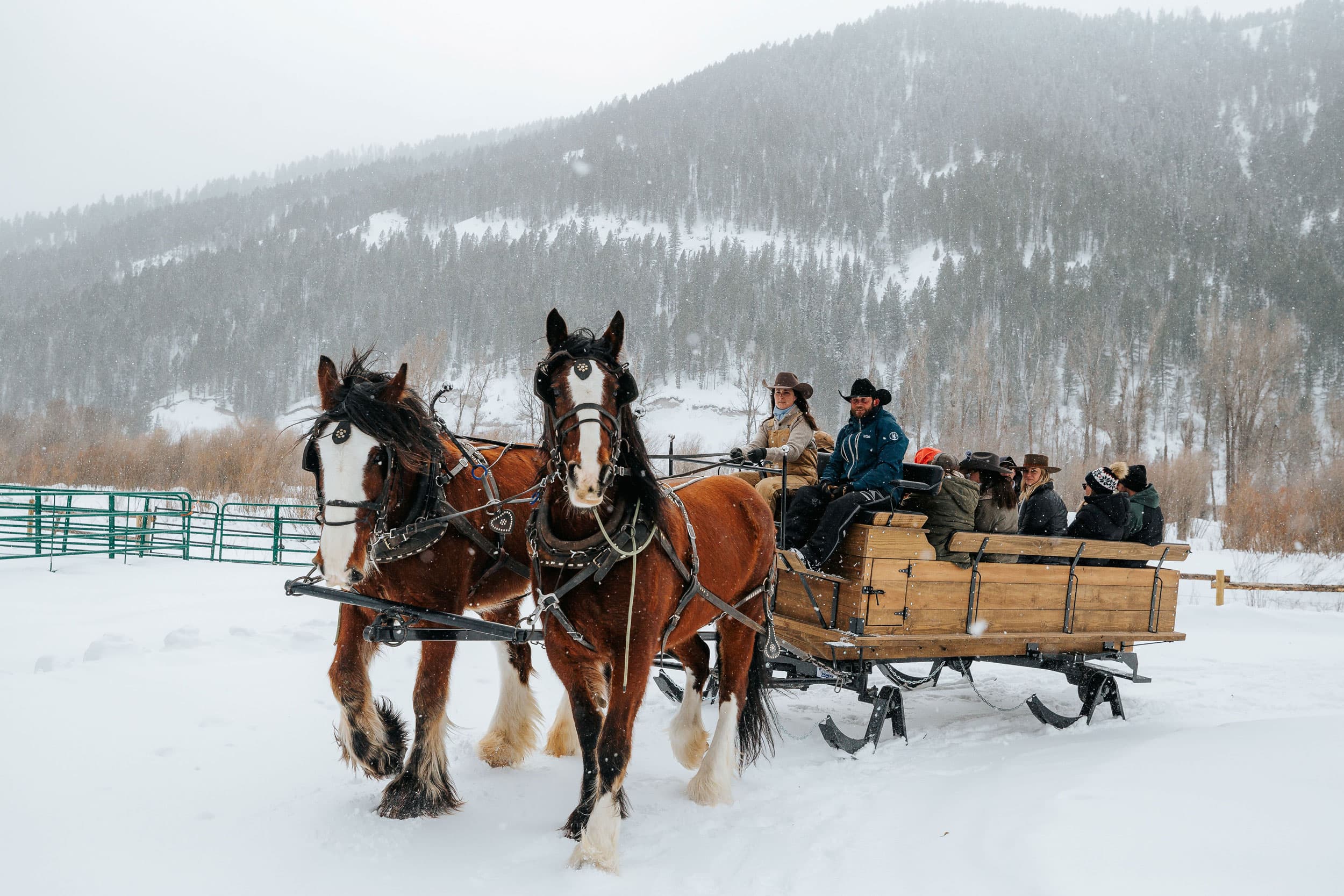 Sleigh Ride Wallpapers - Top Free Sleigh Ride Backgrounds - WallpaperAccess