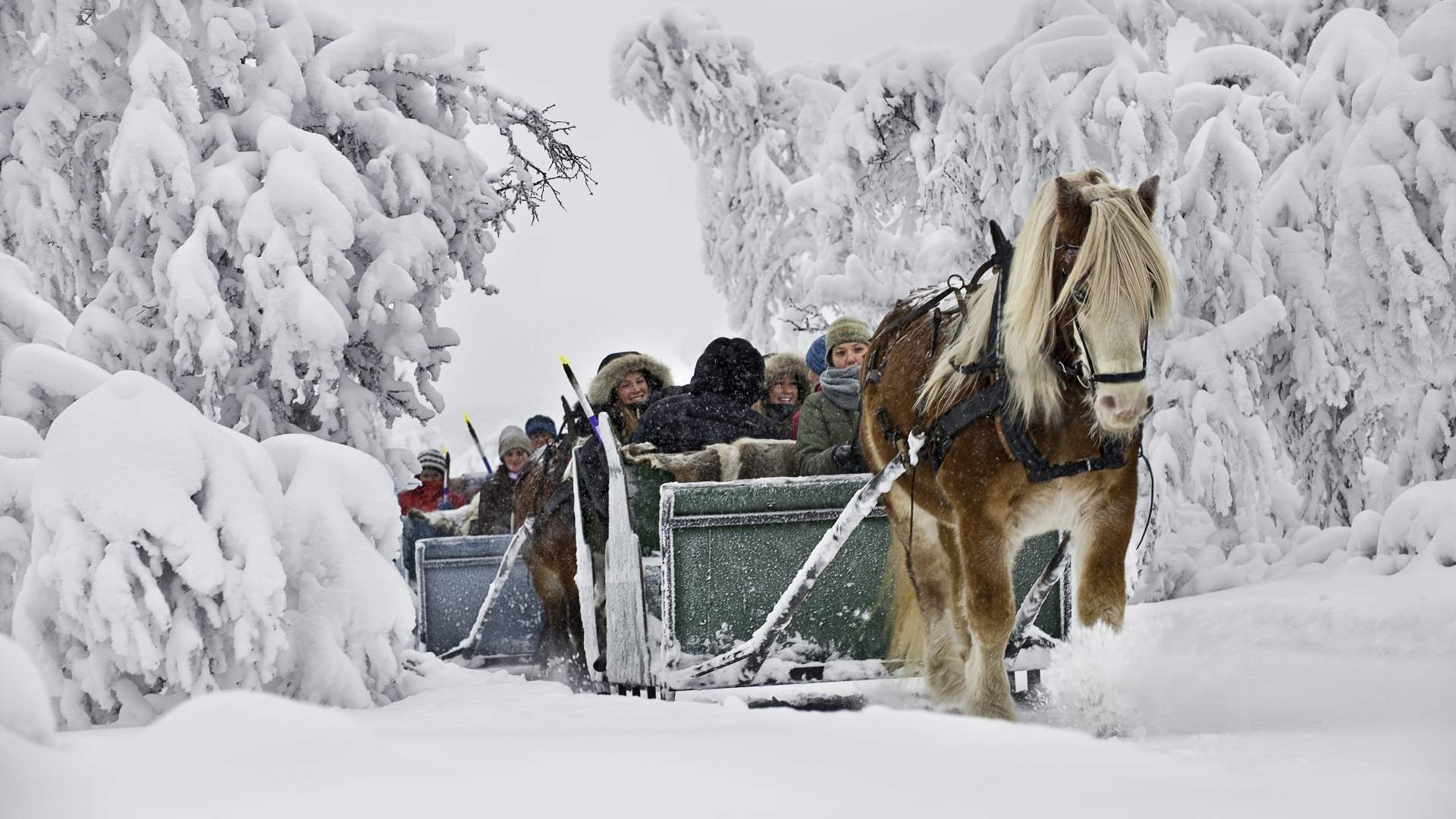 Sleigh Ride Wallpapers - Top Free Sleigh Ride Backgrounds - WallpaperAccess