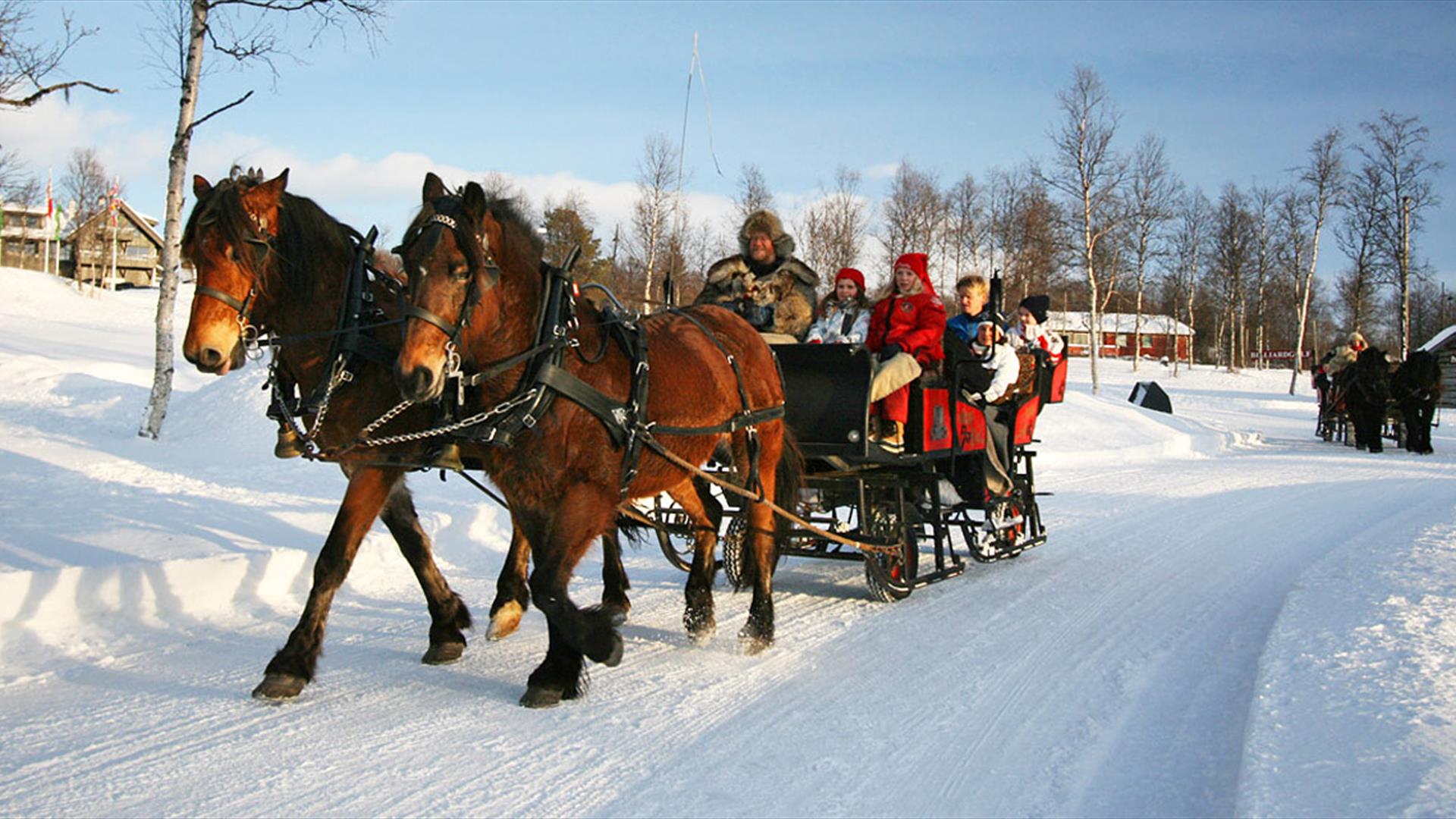 1920x1080 Horse sleigh ride
