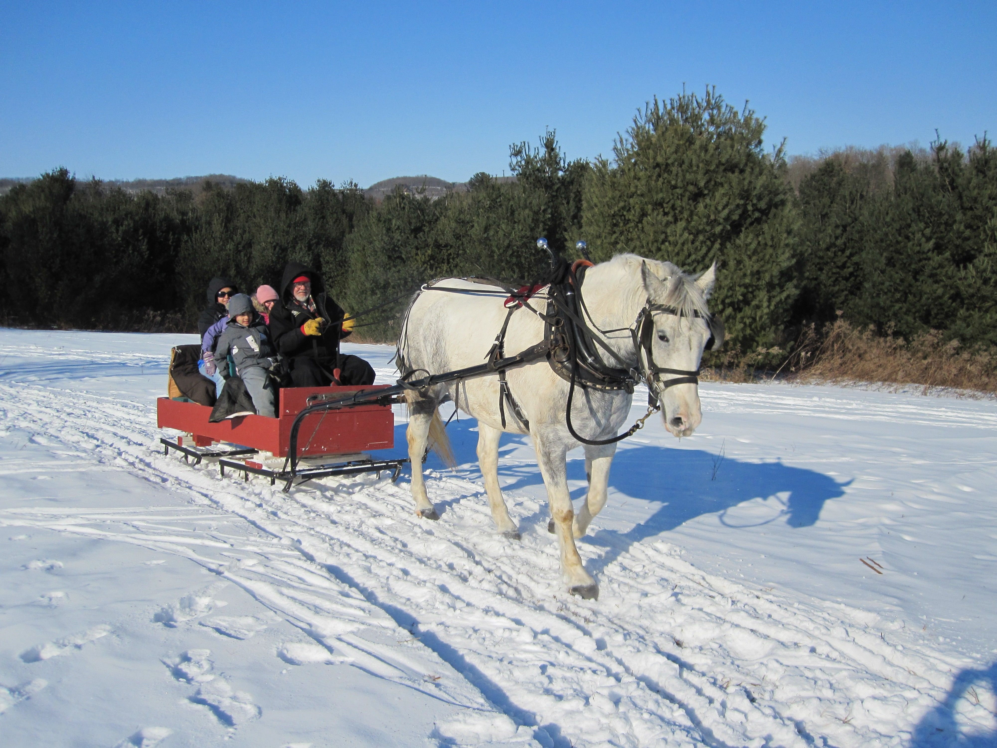 Sleigh Ride Wallpapers - Top Free Sleigh Ride Backgrounds - WallpaperAccess