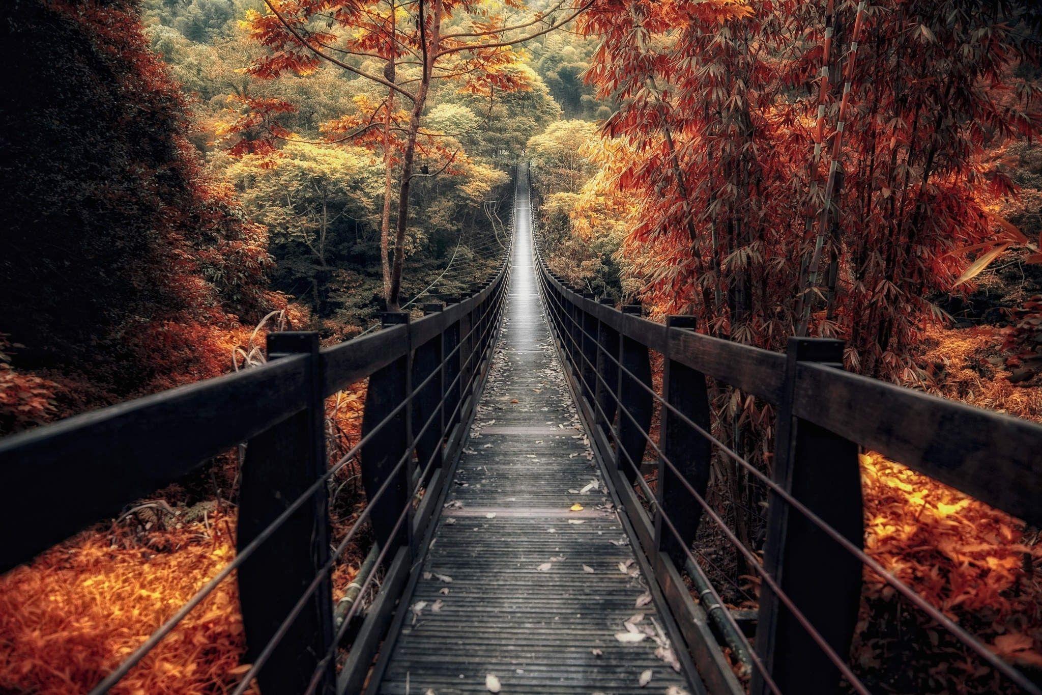 2048x1365 Fall Forest Stream wallpaper.D Wallpaper. Forest