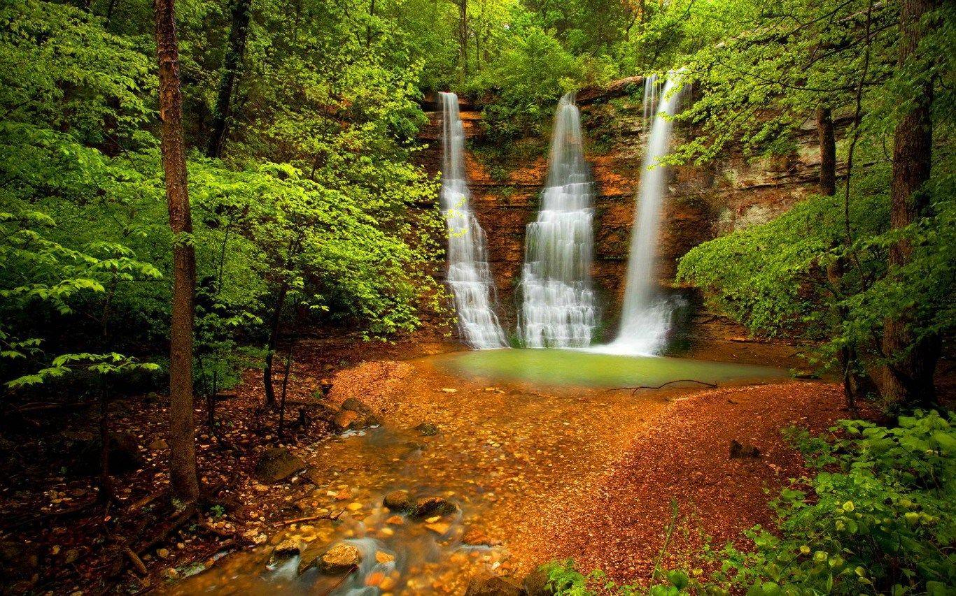 1366x853 Forest Wallpaper Decor Best Of Fall forest Wallpaper