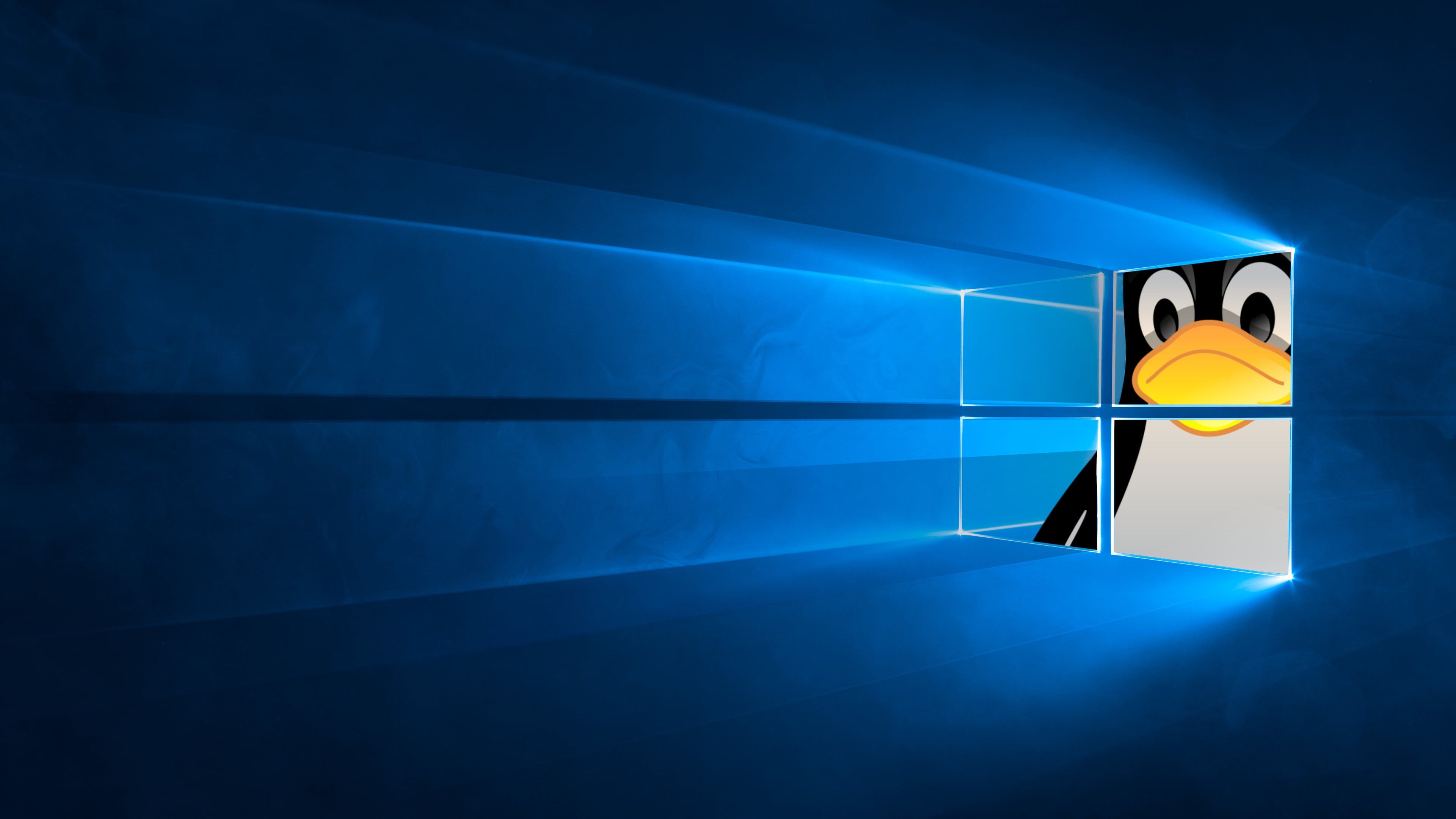 3840x2160 This wallpaper fits WSL too, IMHO
