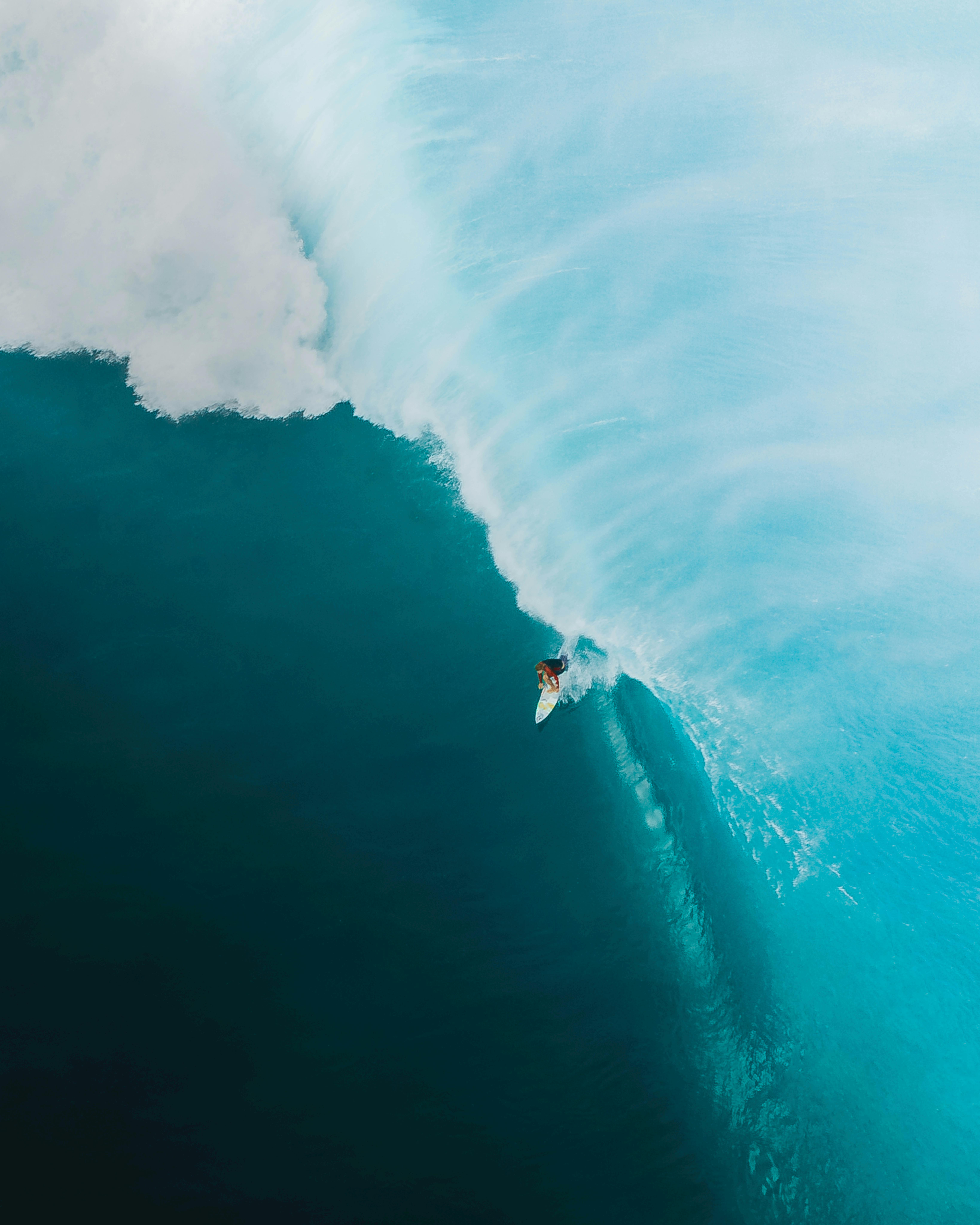 6554x8192 Wsl Photo, Download The BEST Free Wsl & HD Image