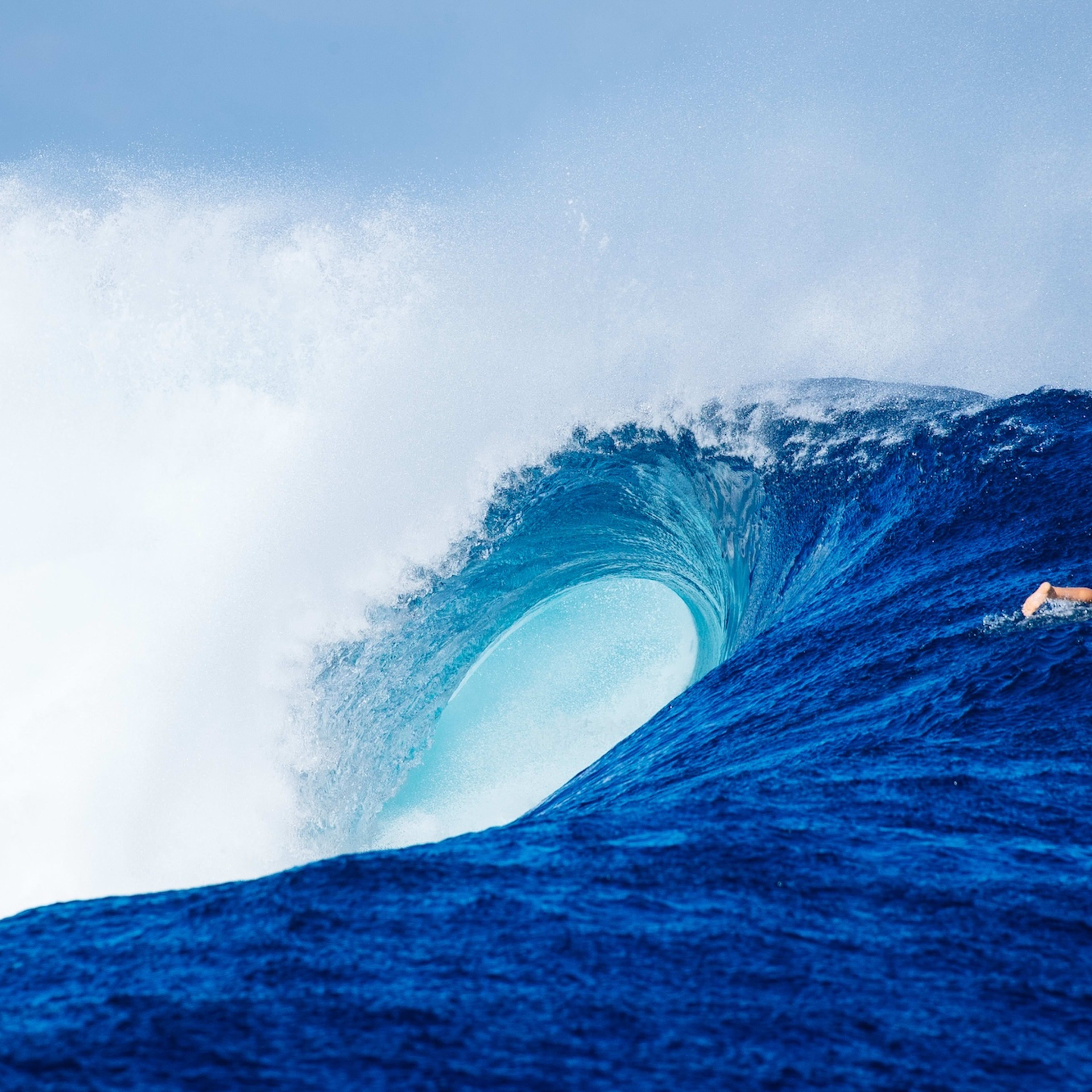 3840x3840 WSL Finals Breakdown: Who's Going to Win the 2025 World Title